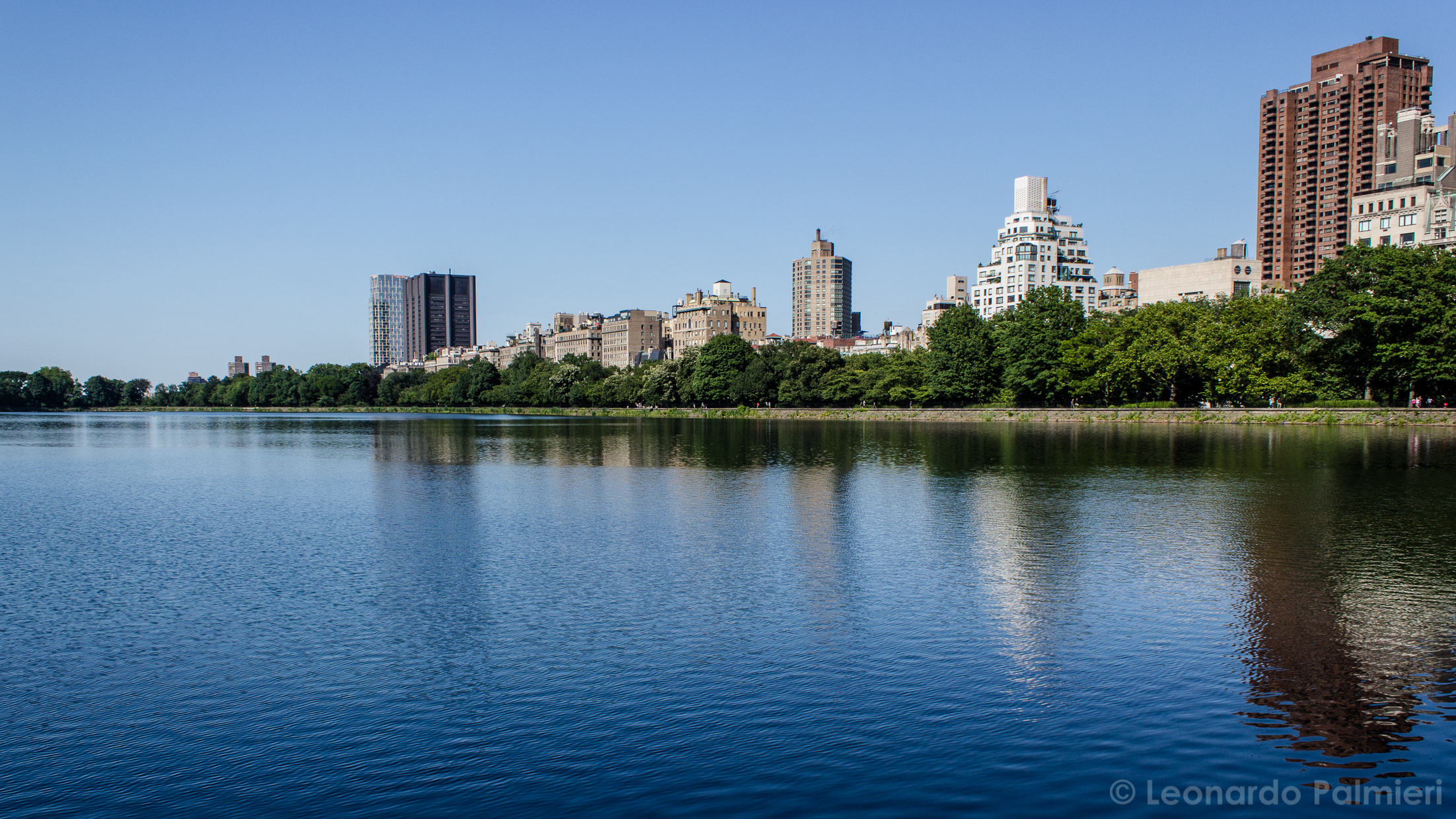 Central Park Landscape