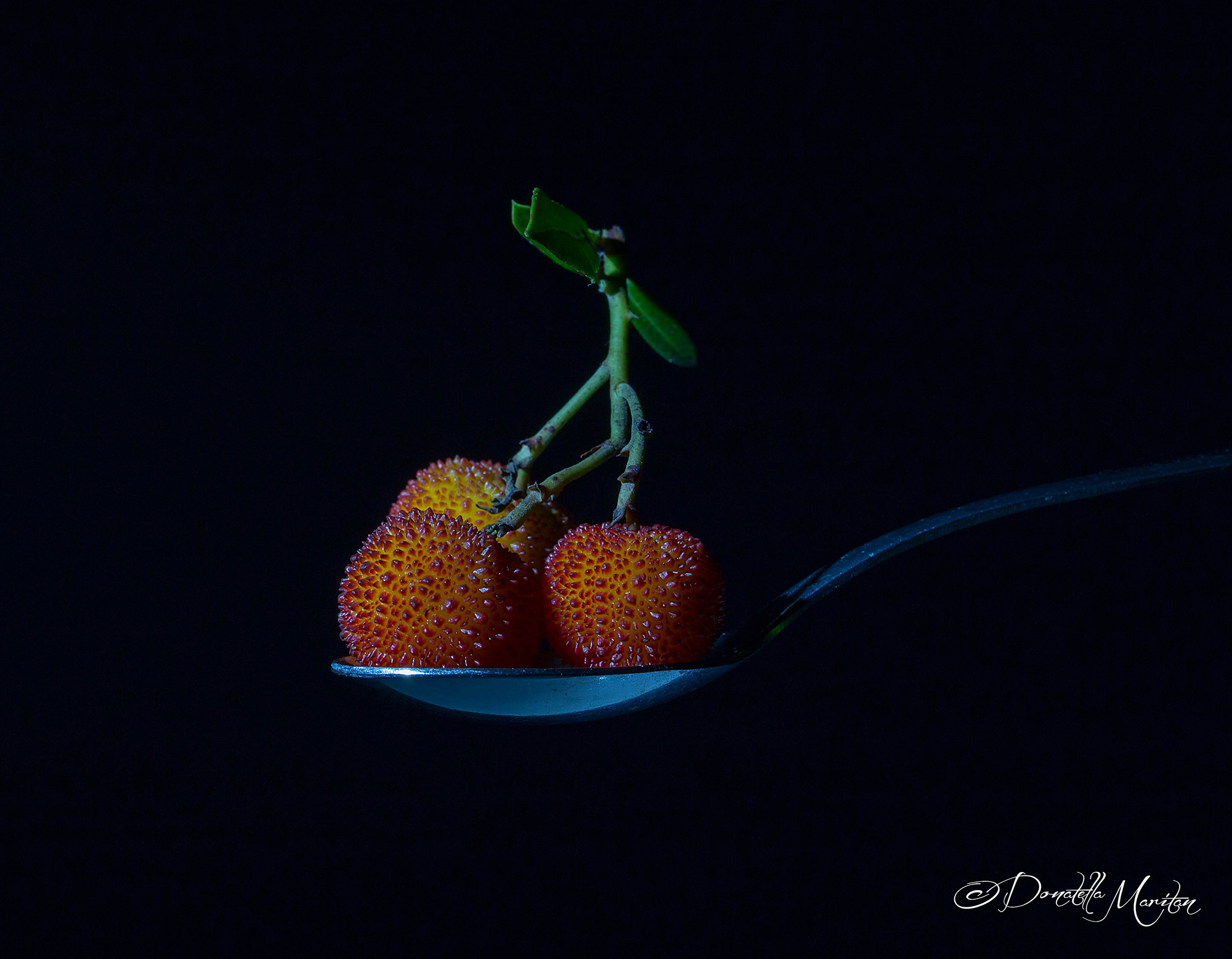 Il frutto dell'Amore