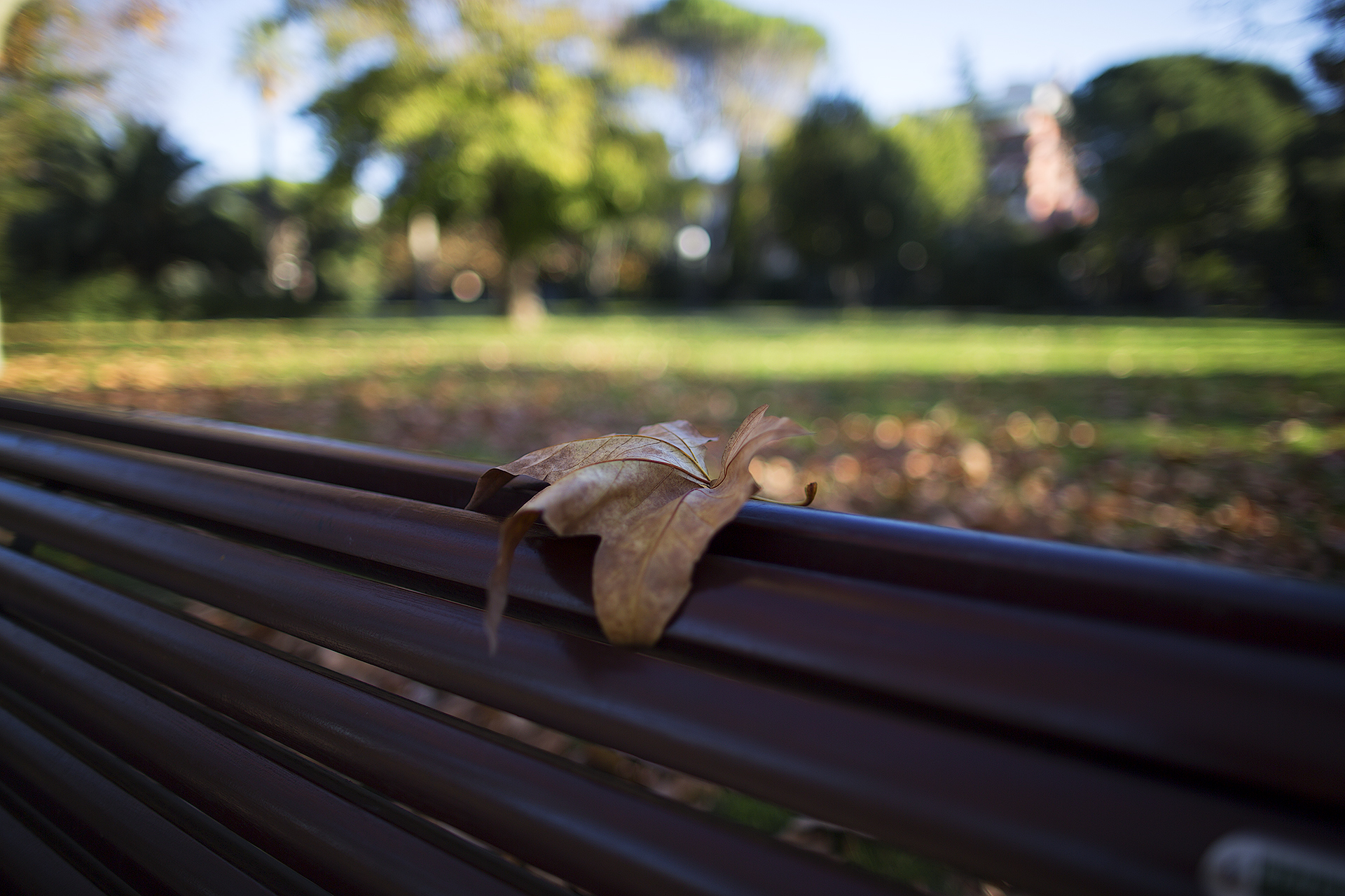 Villa Fabbricotti autumn has arrived 24f1.4l