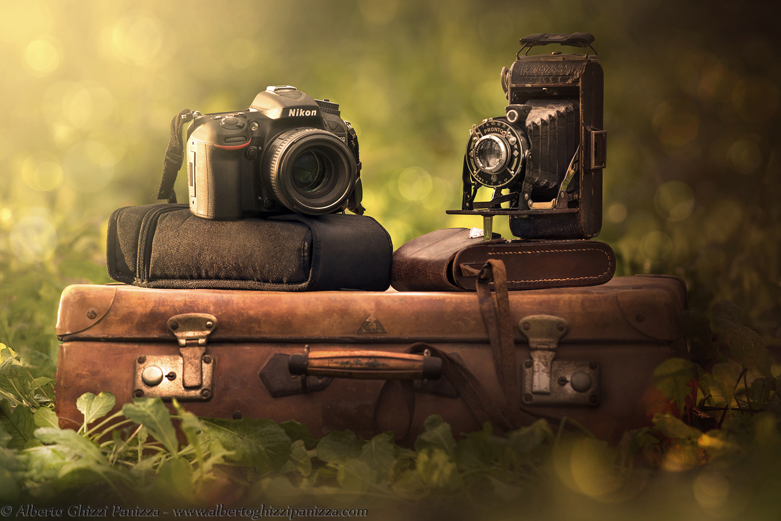 Il nonno ed il nipote