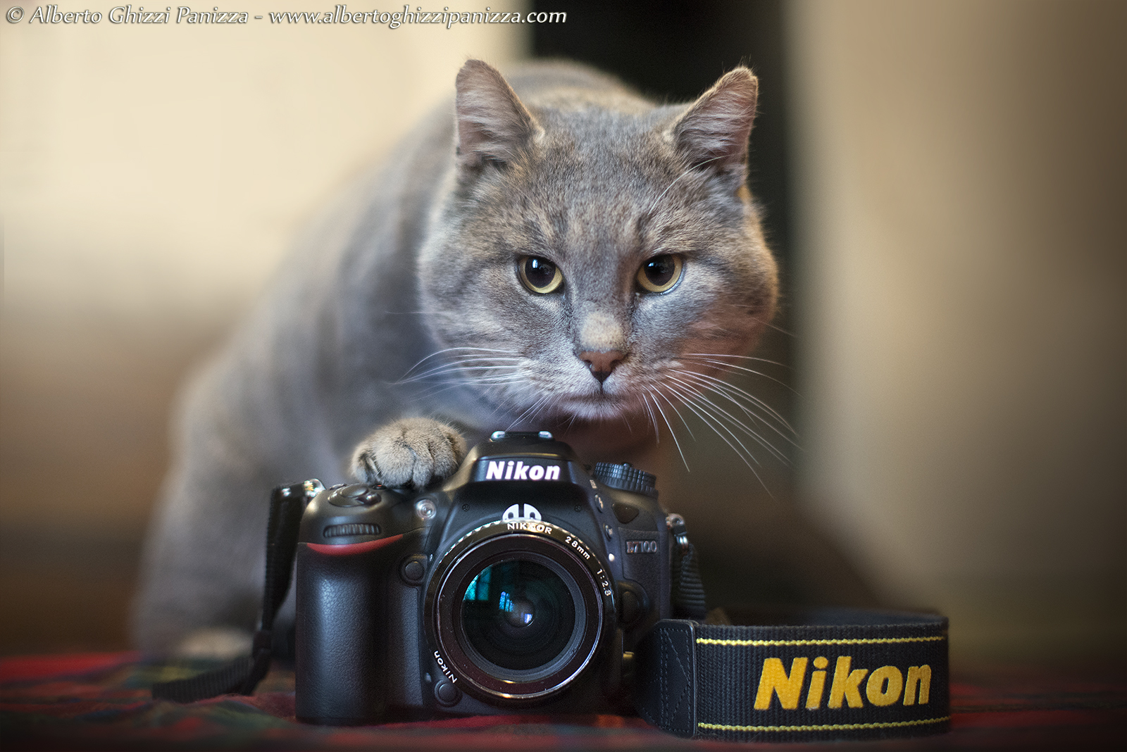 I AM Nikon