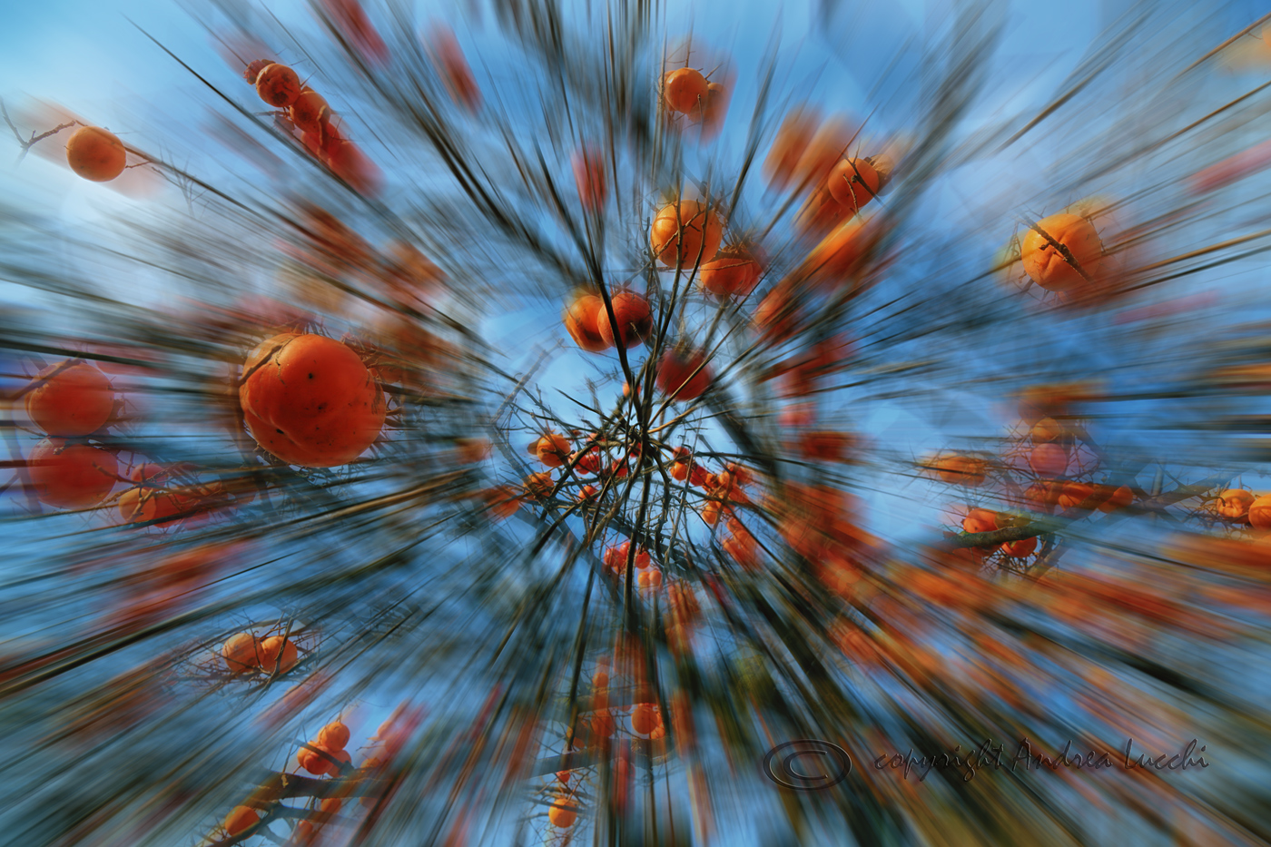 insolita prospettiva