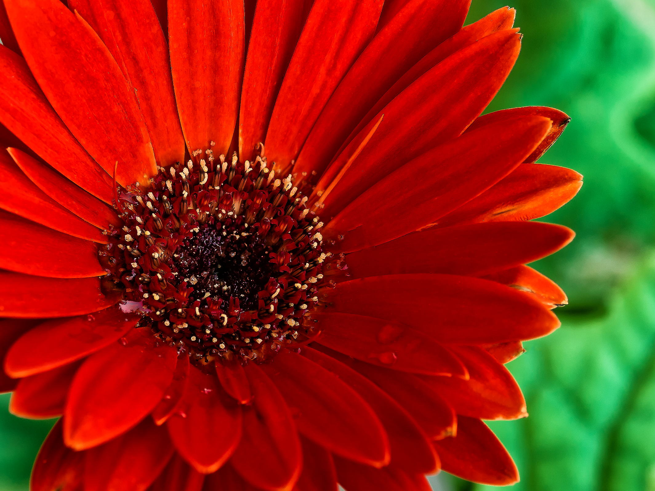 from parts of the color red