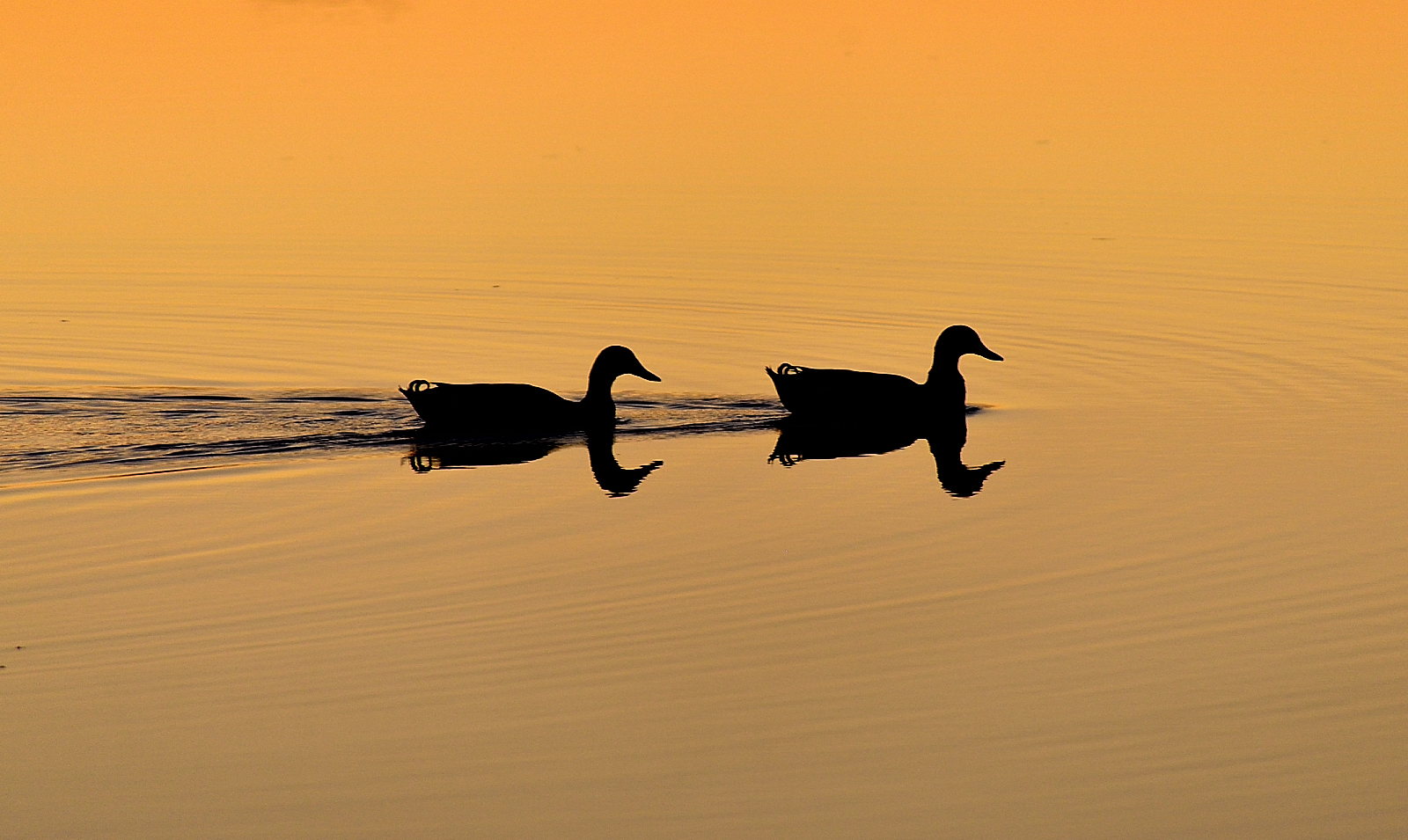 passeggiata al tramonto