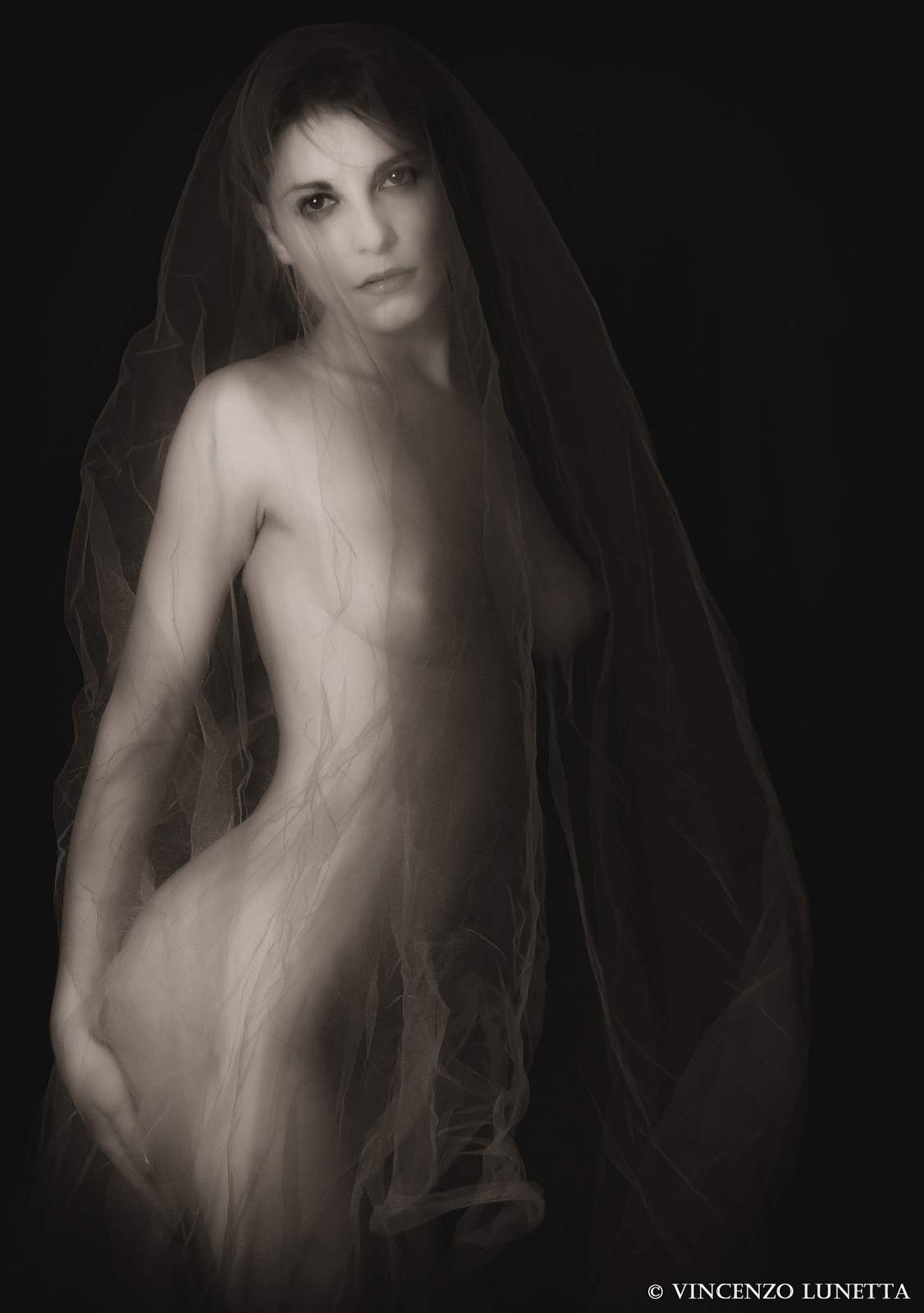 Signs of light ... ...