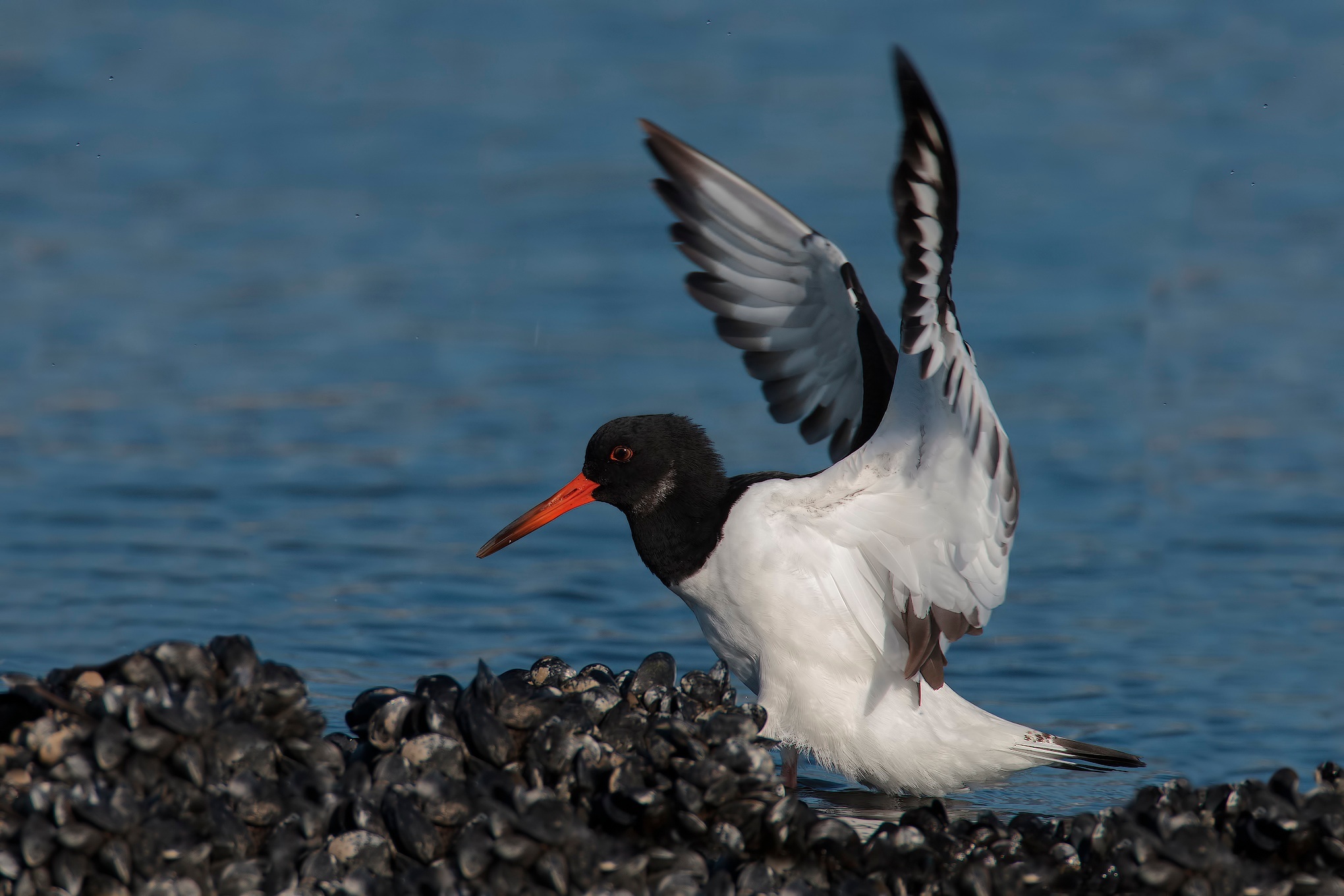 Various landings ....