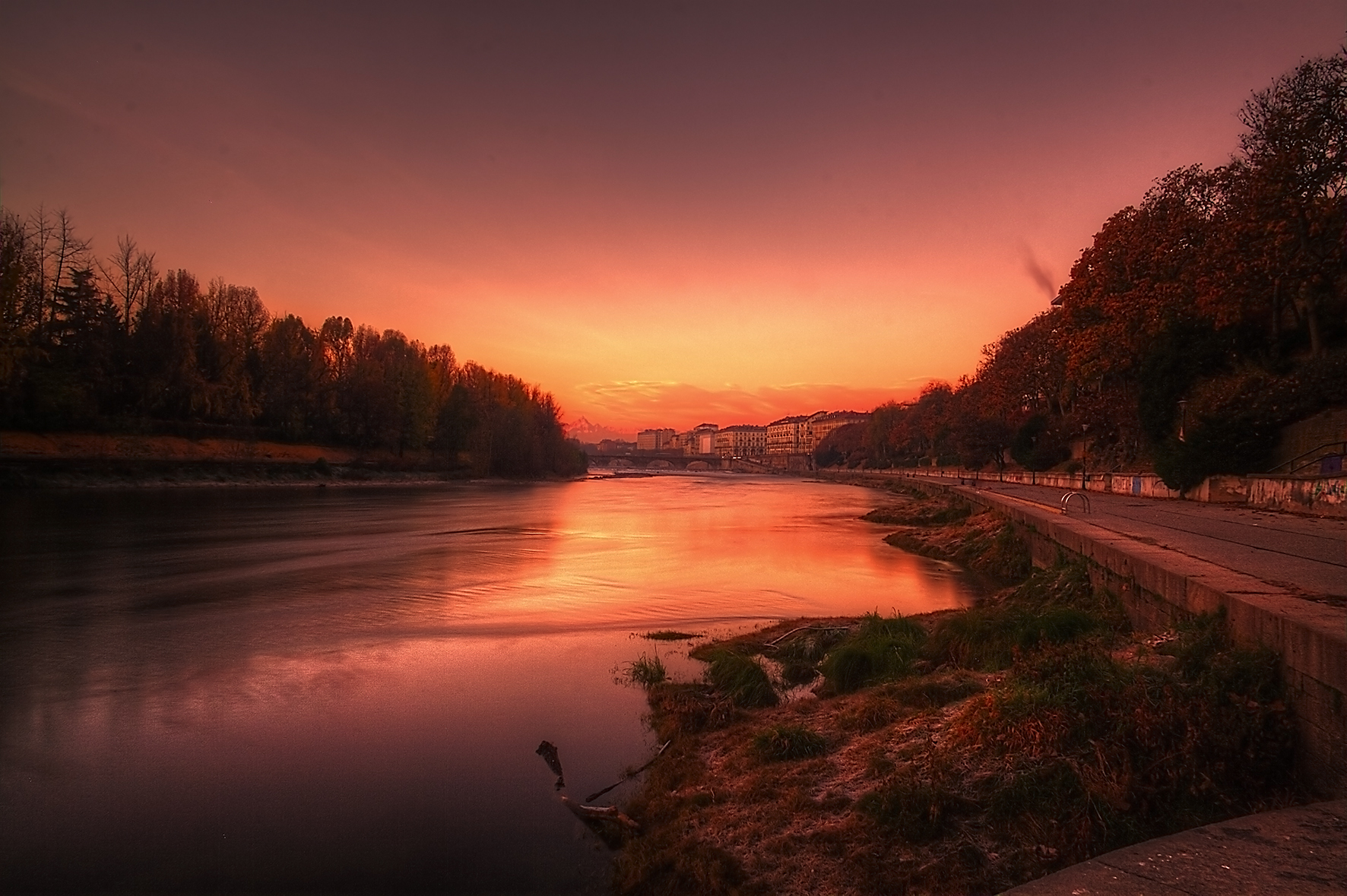 Dawn Turin