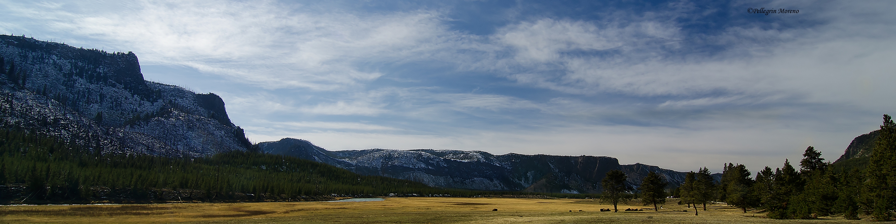 Parco nazionale di Yellostone