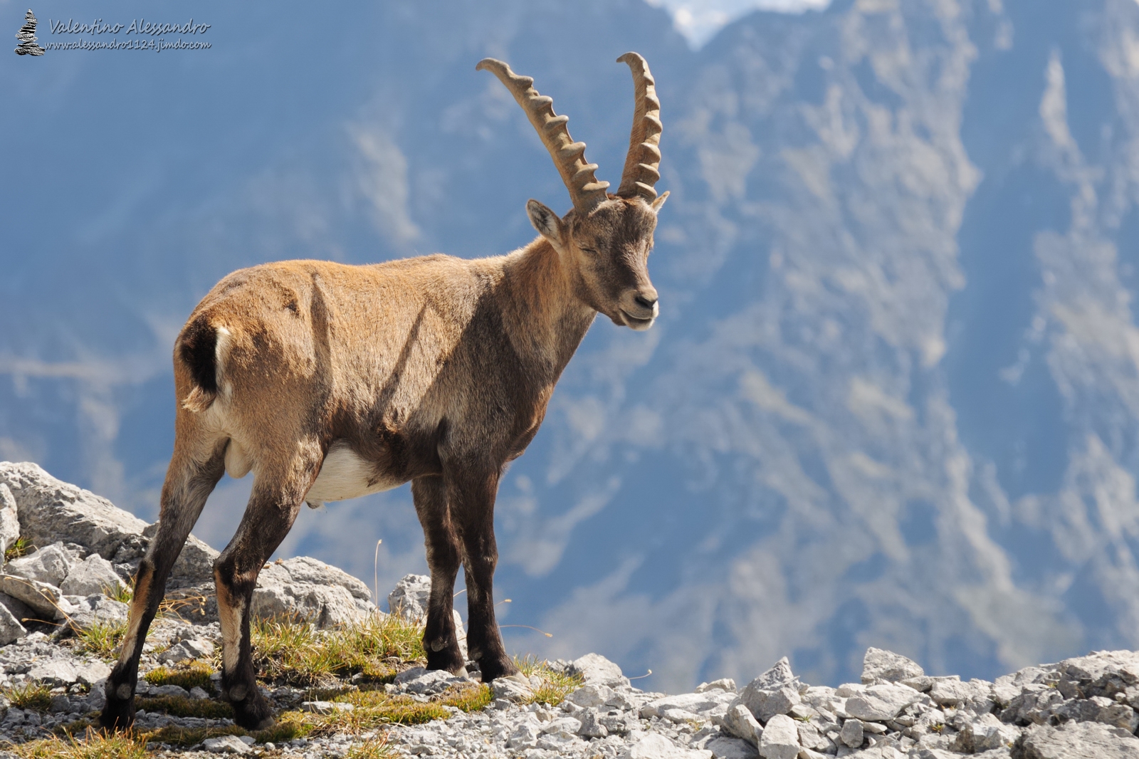 where I put the rayban?