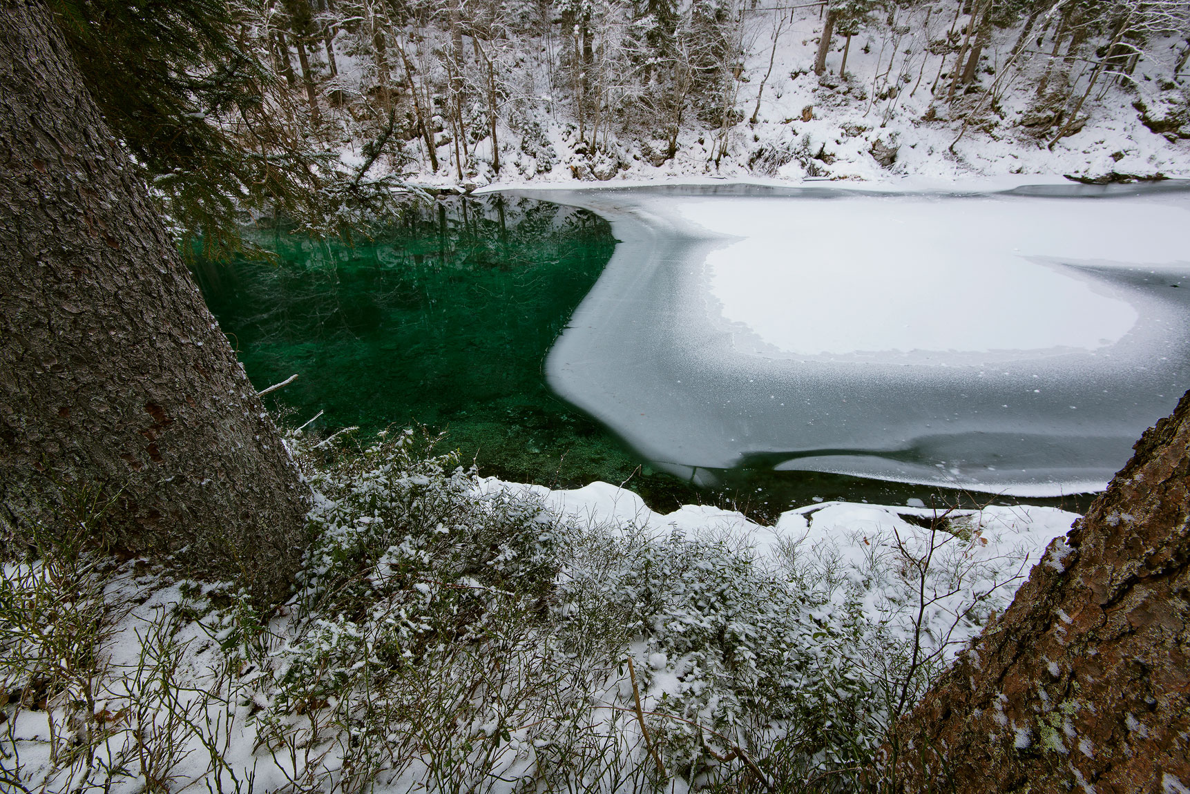 Lago superiore Fusine - Alpi Giulie.