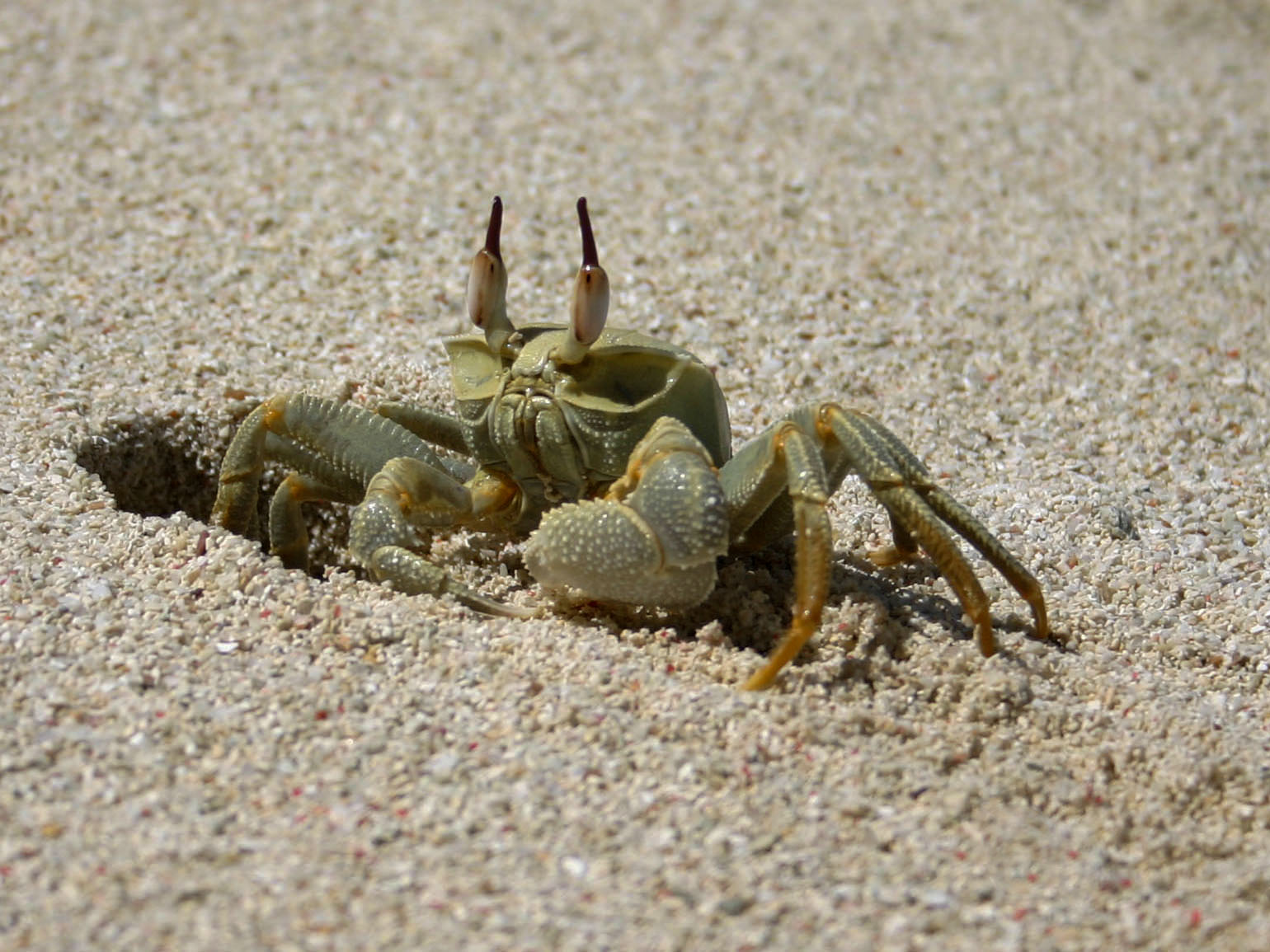 Praslin, New Emerald Cove - Seychelles