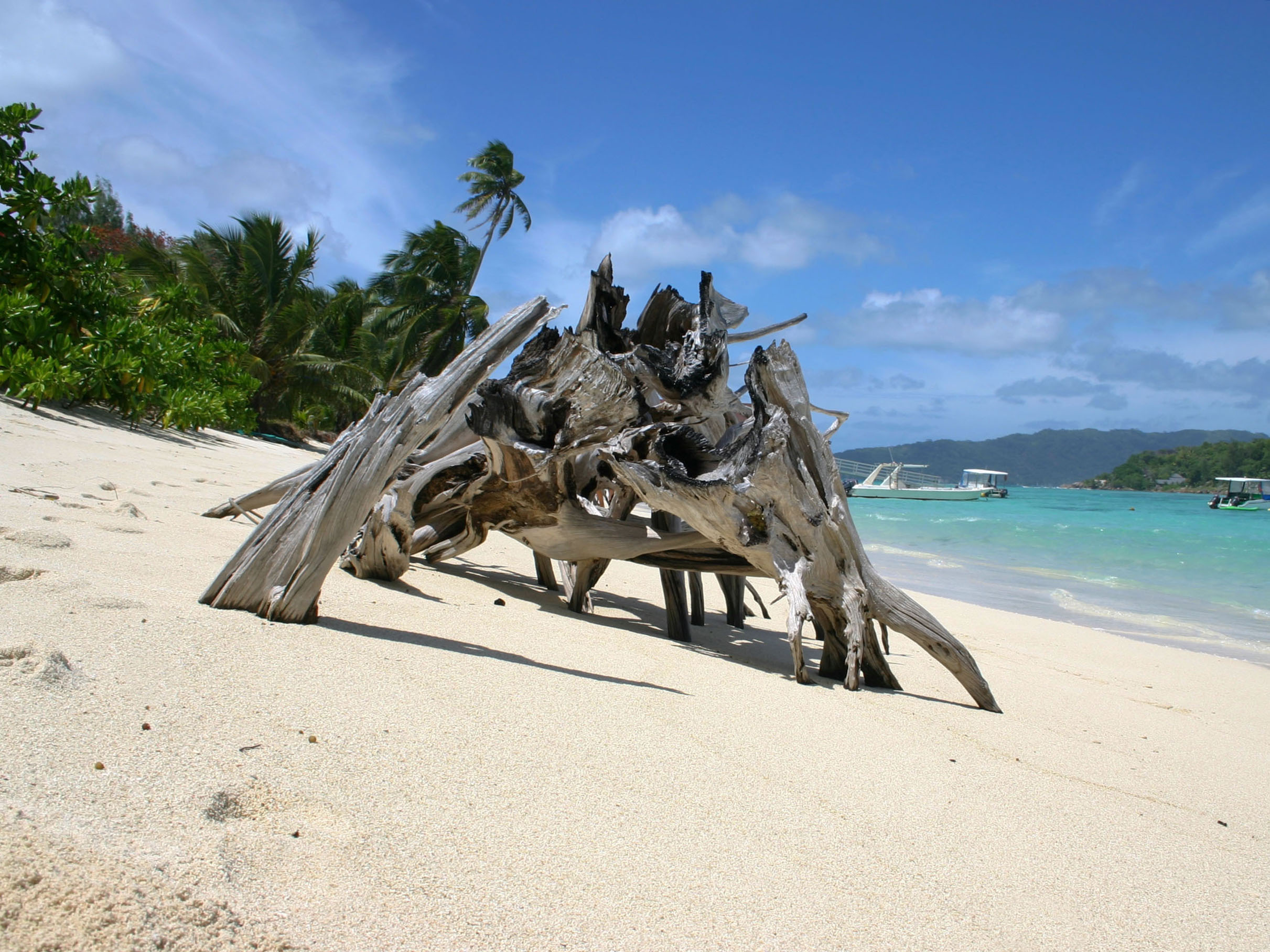 Praslin, New Emerald Cove - Seychelles