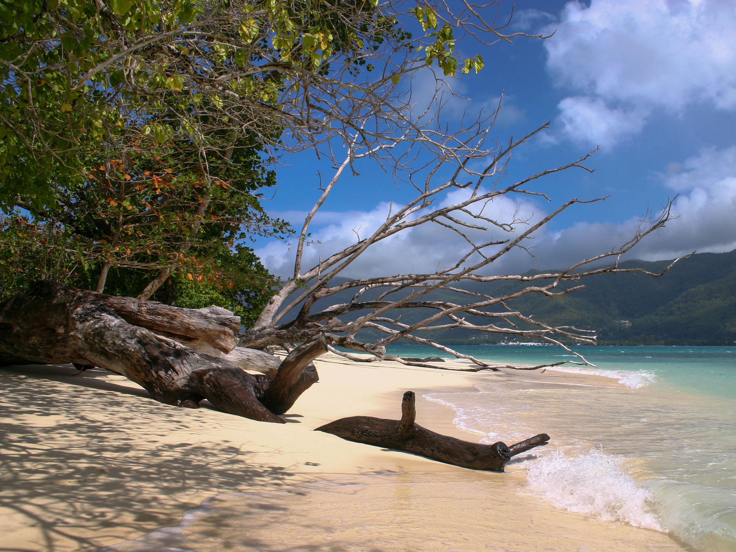 Praslin - Seychelles