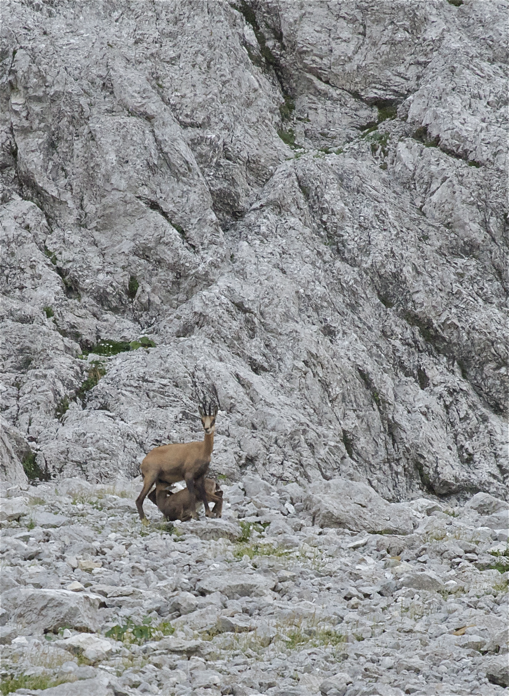 Prima colazione.....