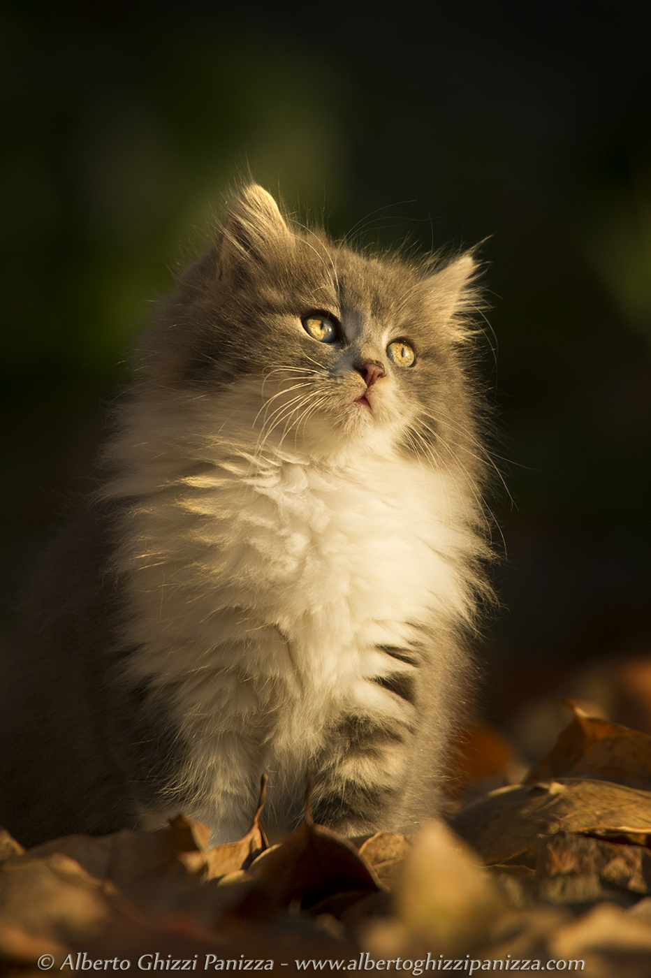 Uno sguardo di speranza