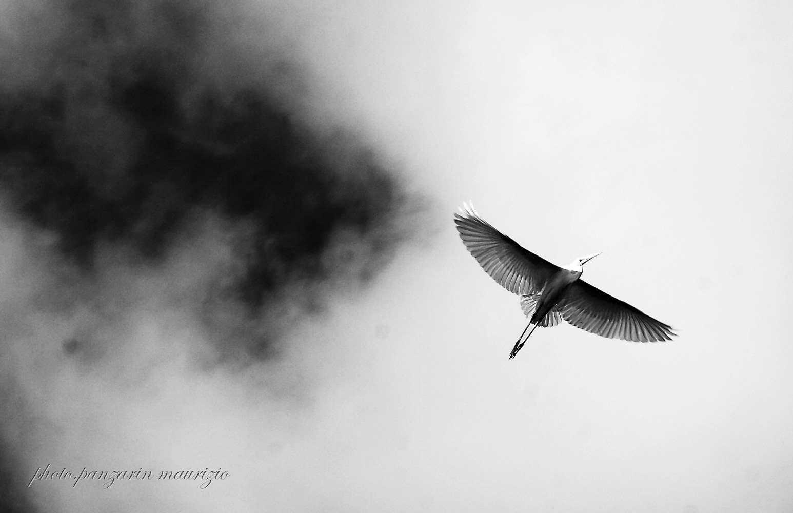 le ali della libertà