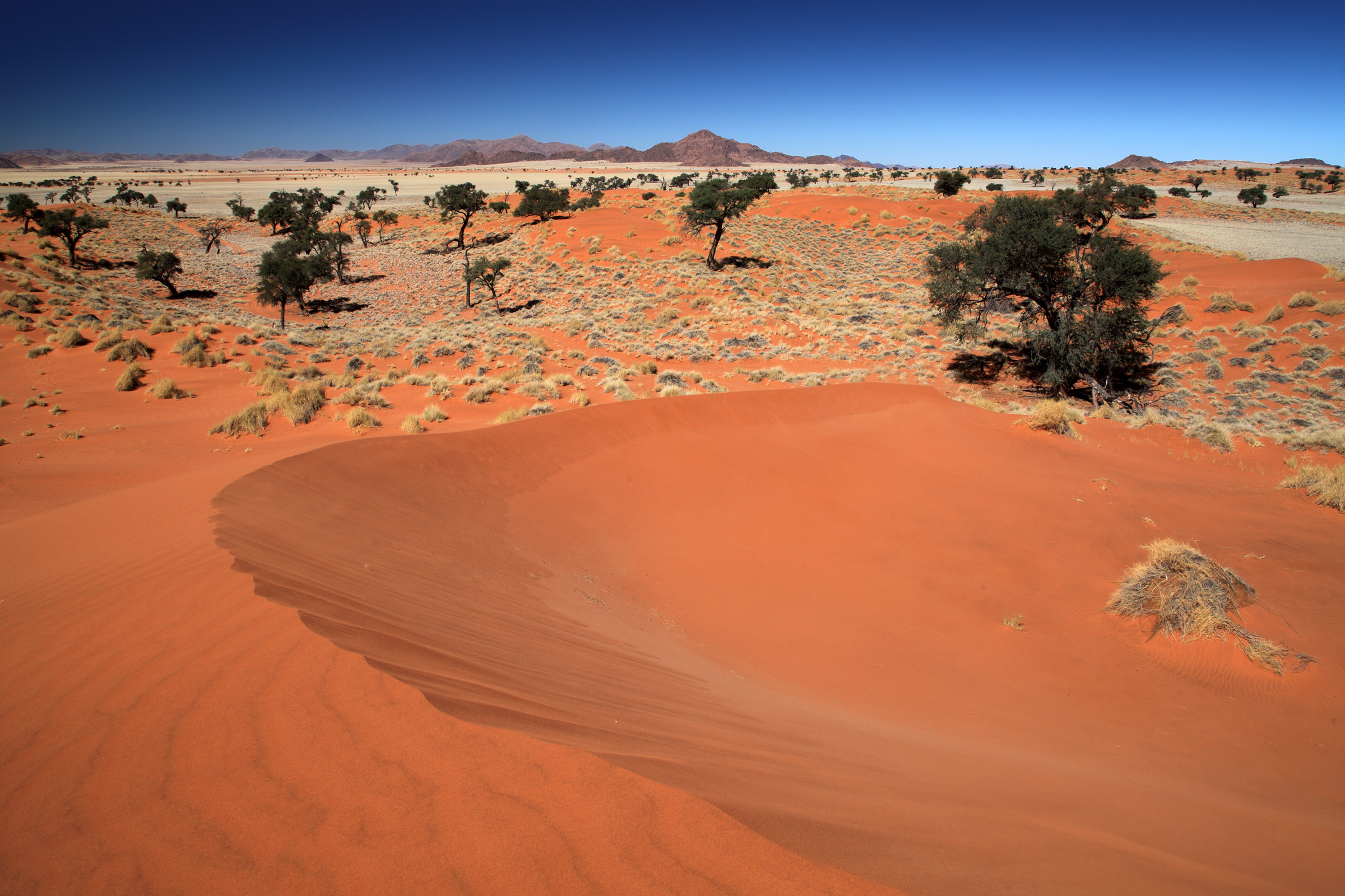 Le dune Namibrand