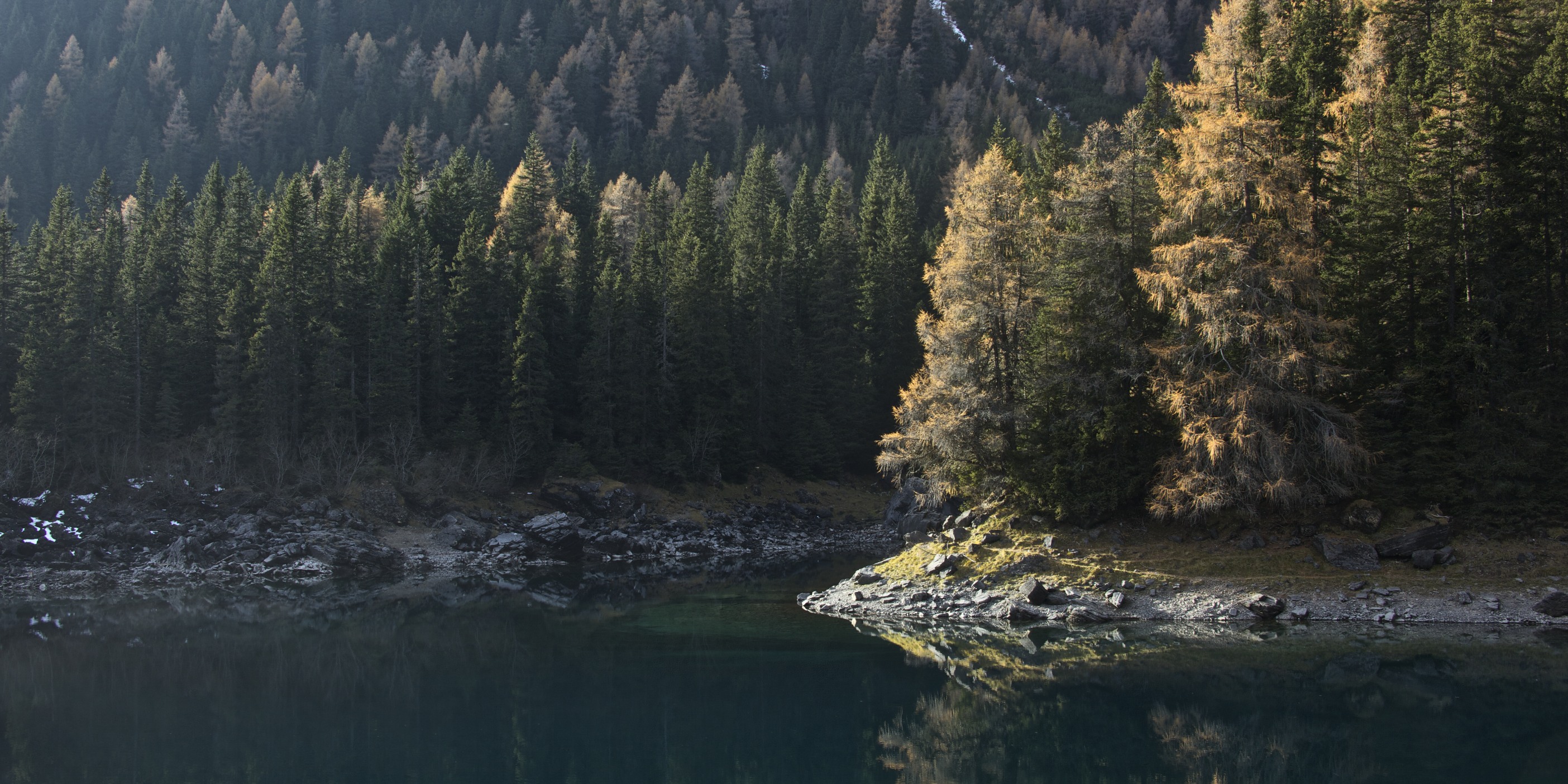 Dove il bosco incontra un lago