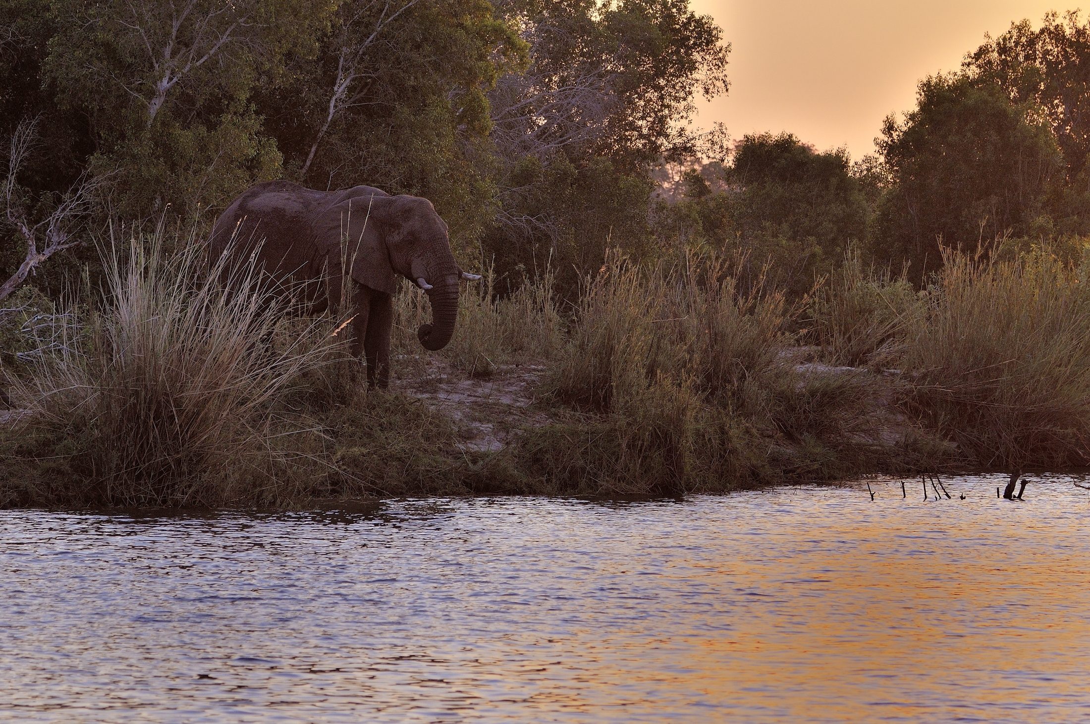 Botswana 2013 - Zambesi River