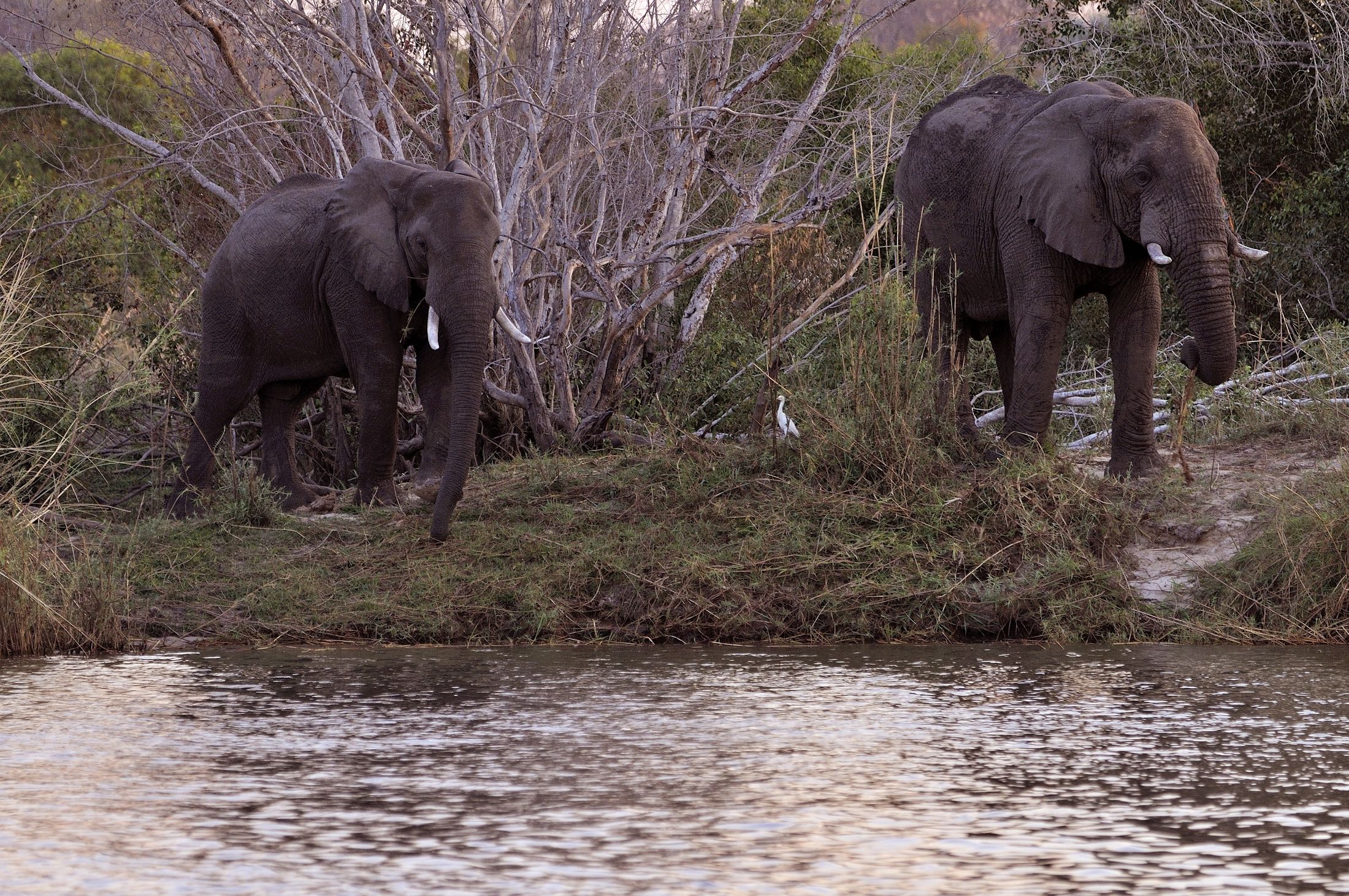 Botswana 2013 - Zambesi River