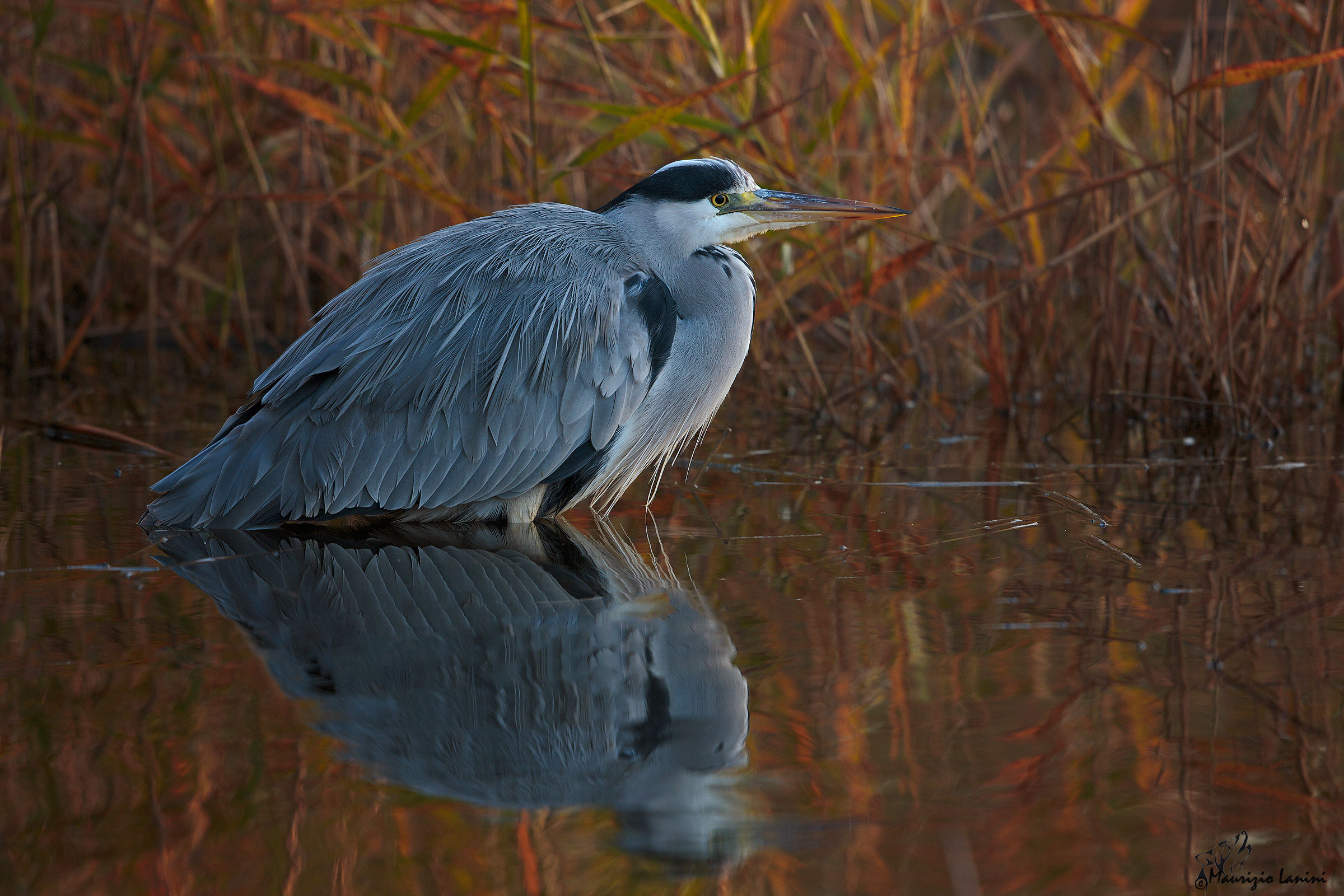 I colori pastello dell'autunno
