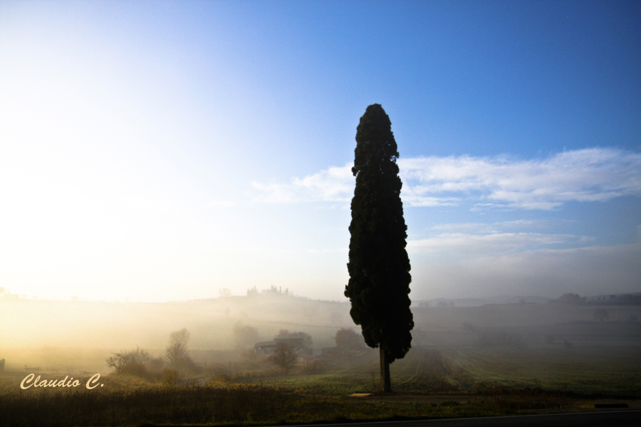 the abandoned object