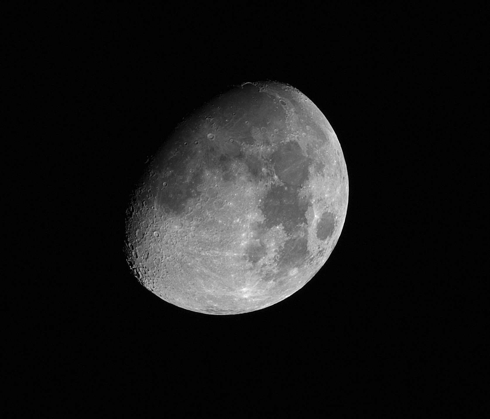 Luna (100% vegetale)