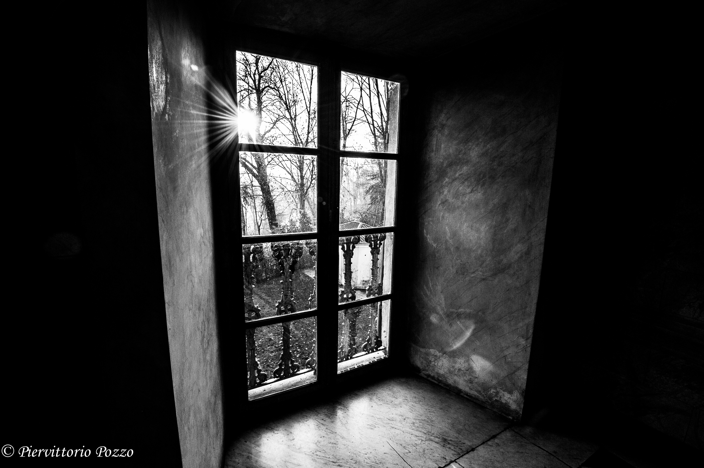 Castello di Venaria Reale3