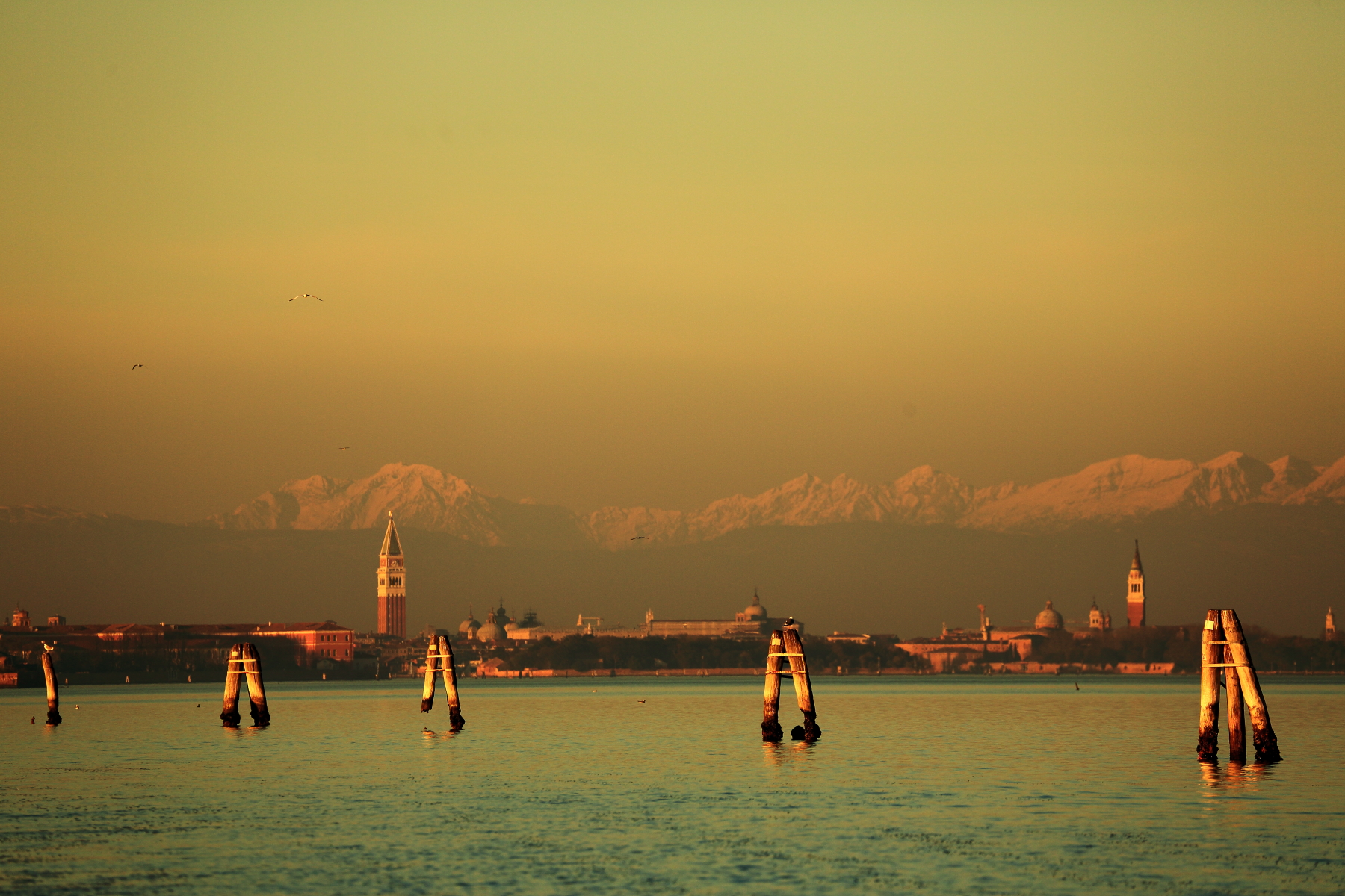 Sullo sfondo Venezia