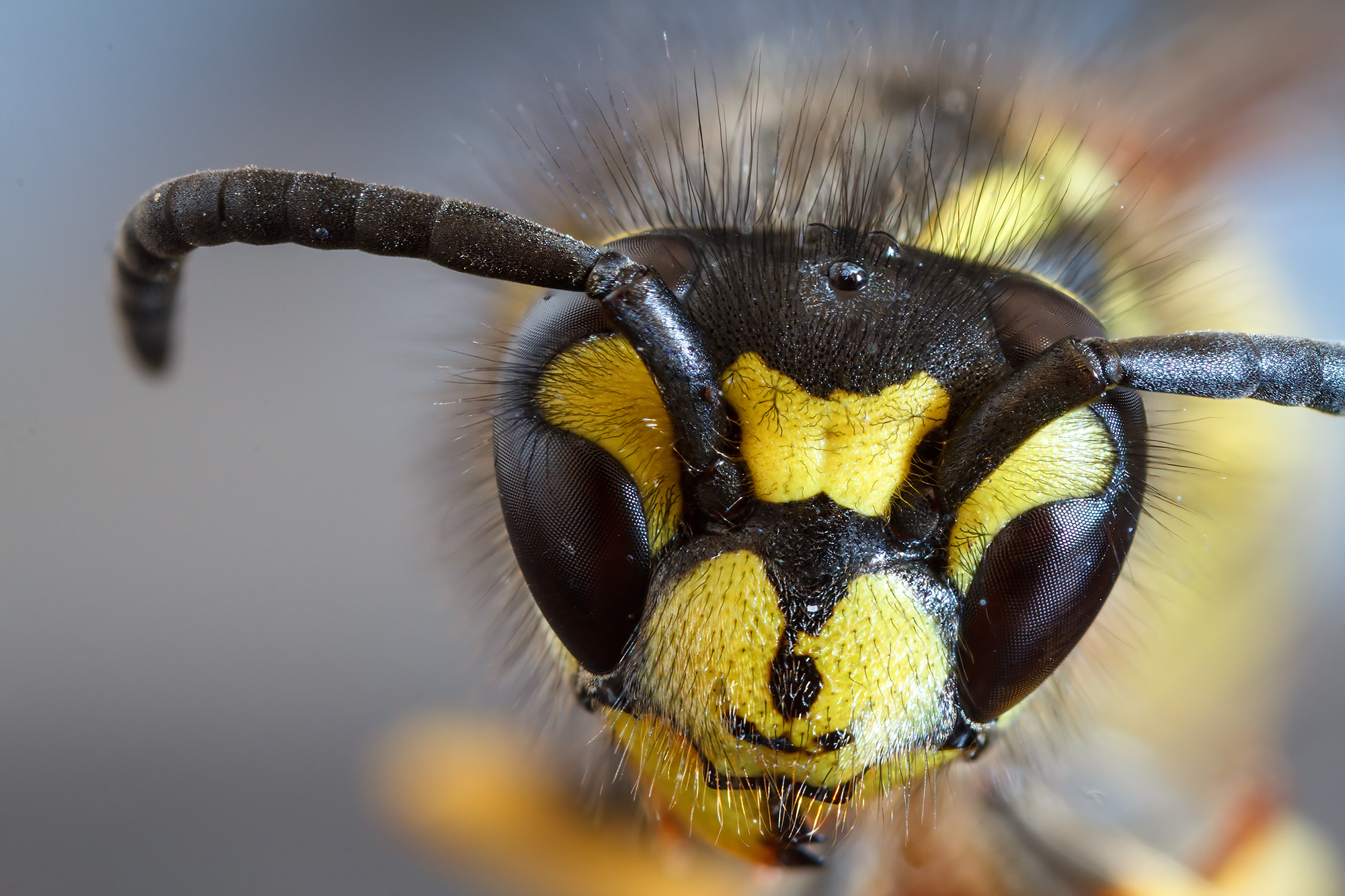 Prime prove con mpe-65