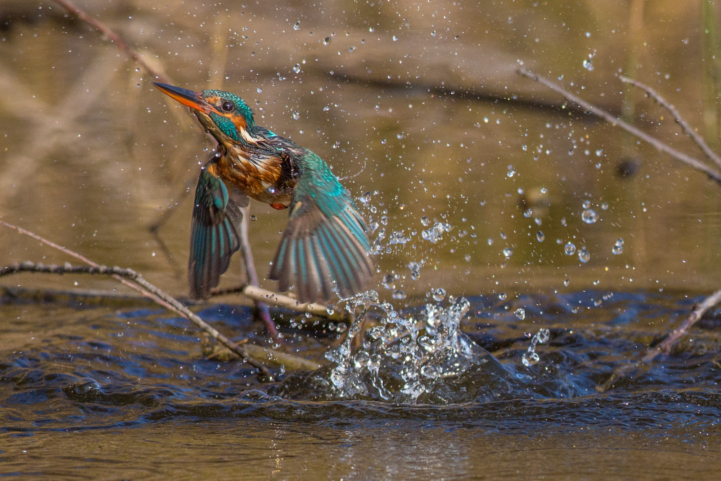 To infinity and beyond!