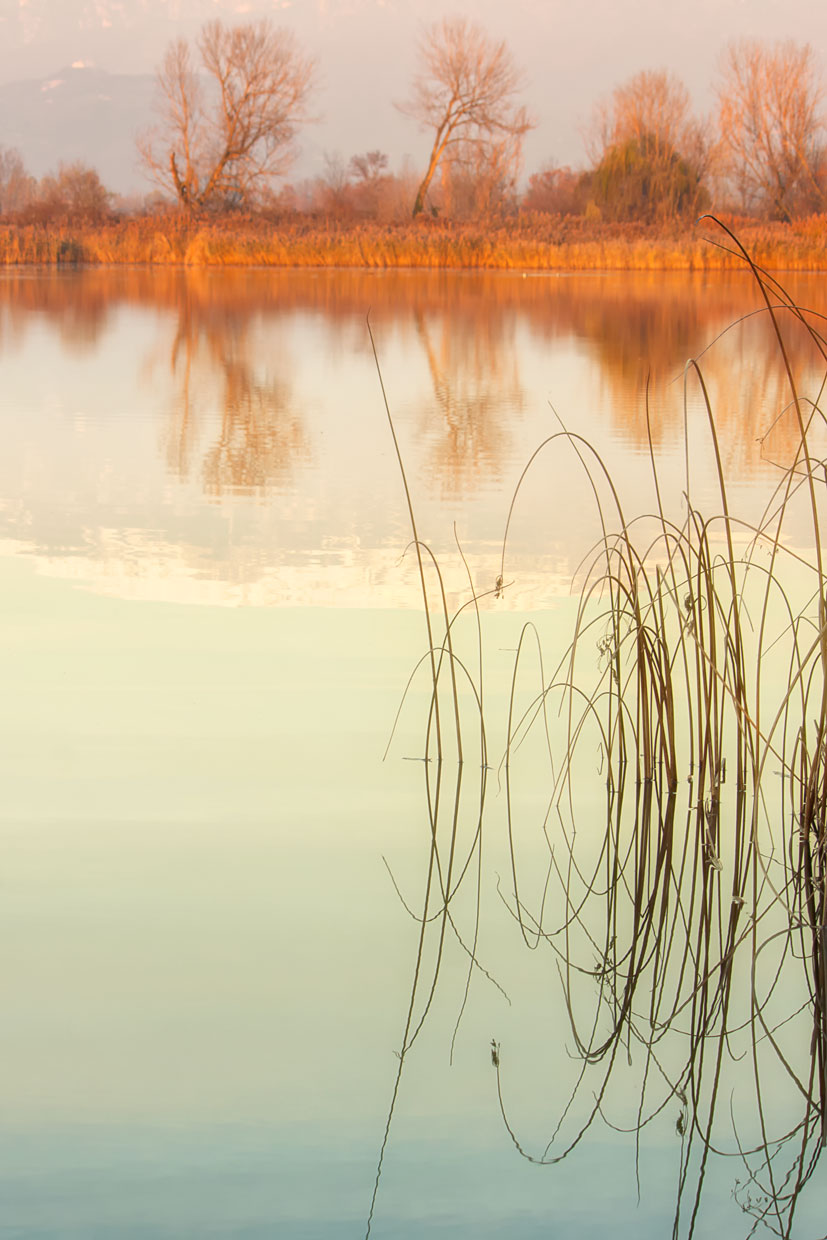 torbiere del sebino ,