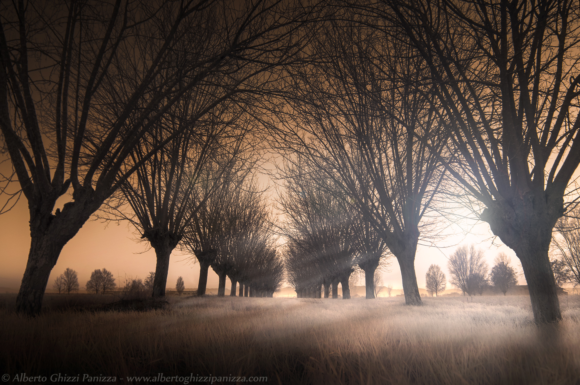 Il sentiero accarezzato dalla luce