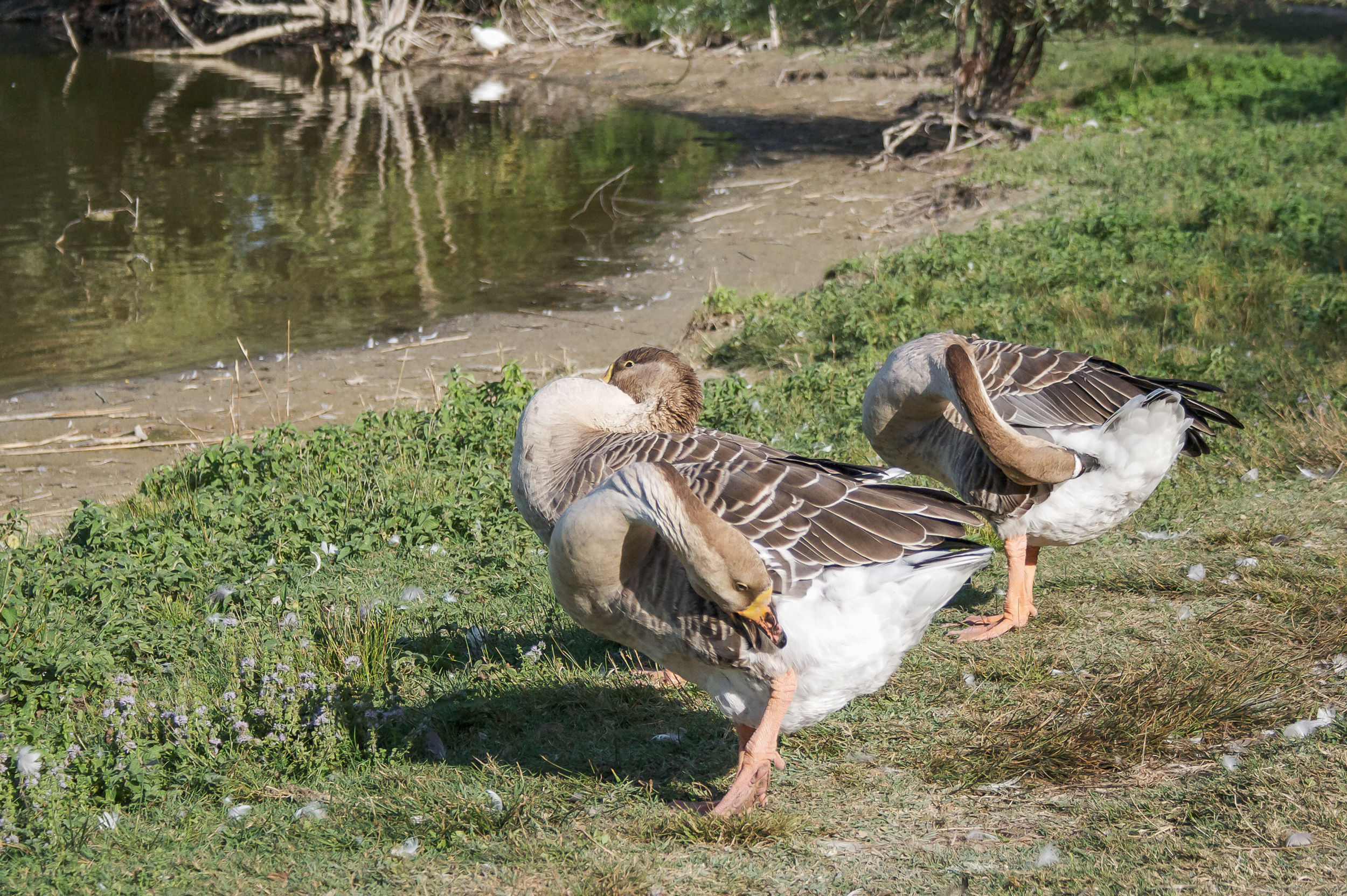Cleaning synchronized