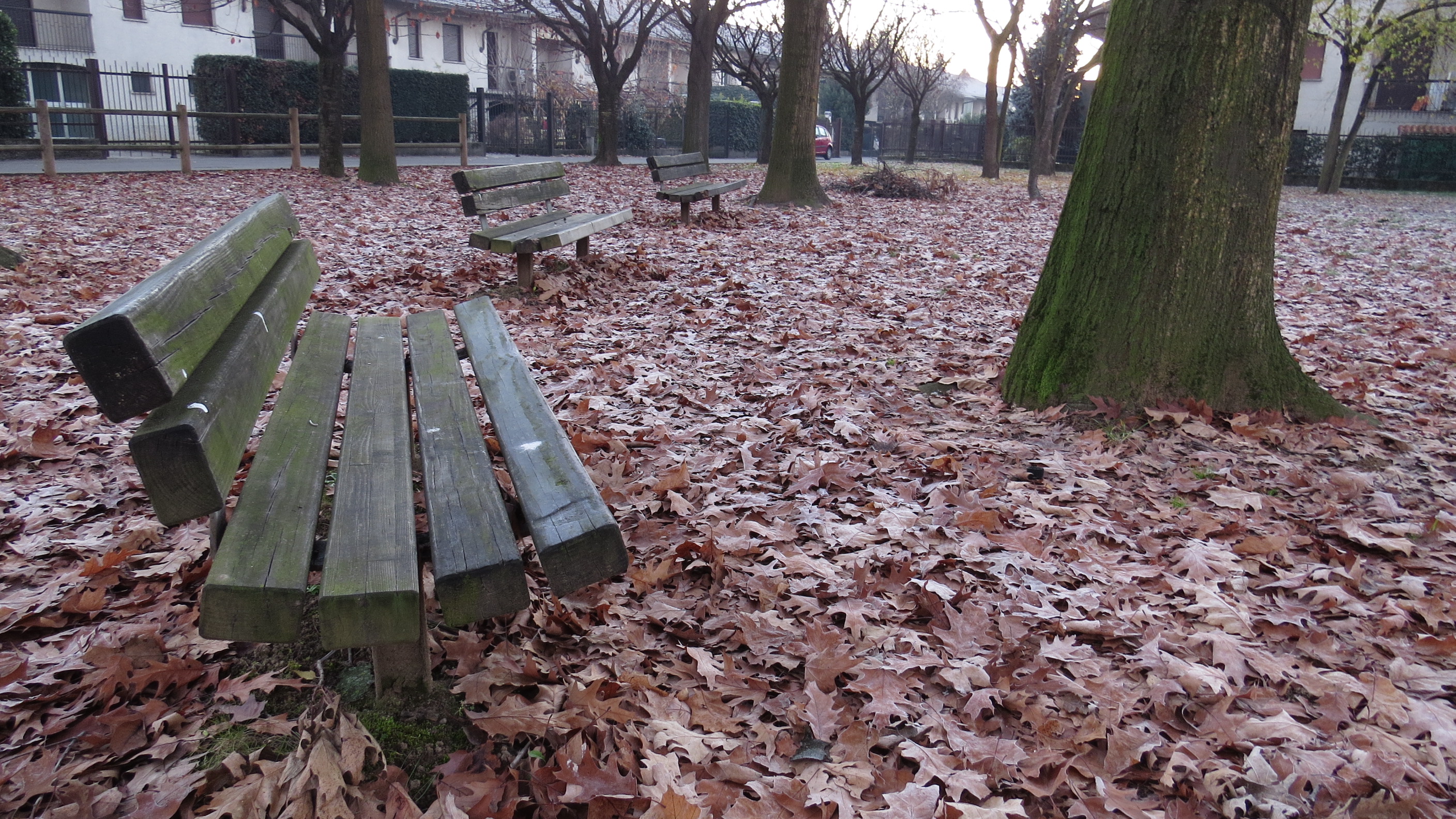 silence of an autumn past