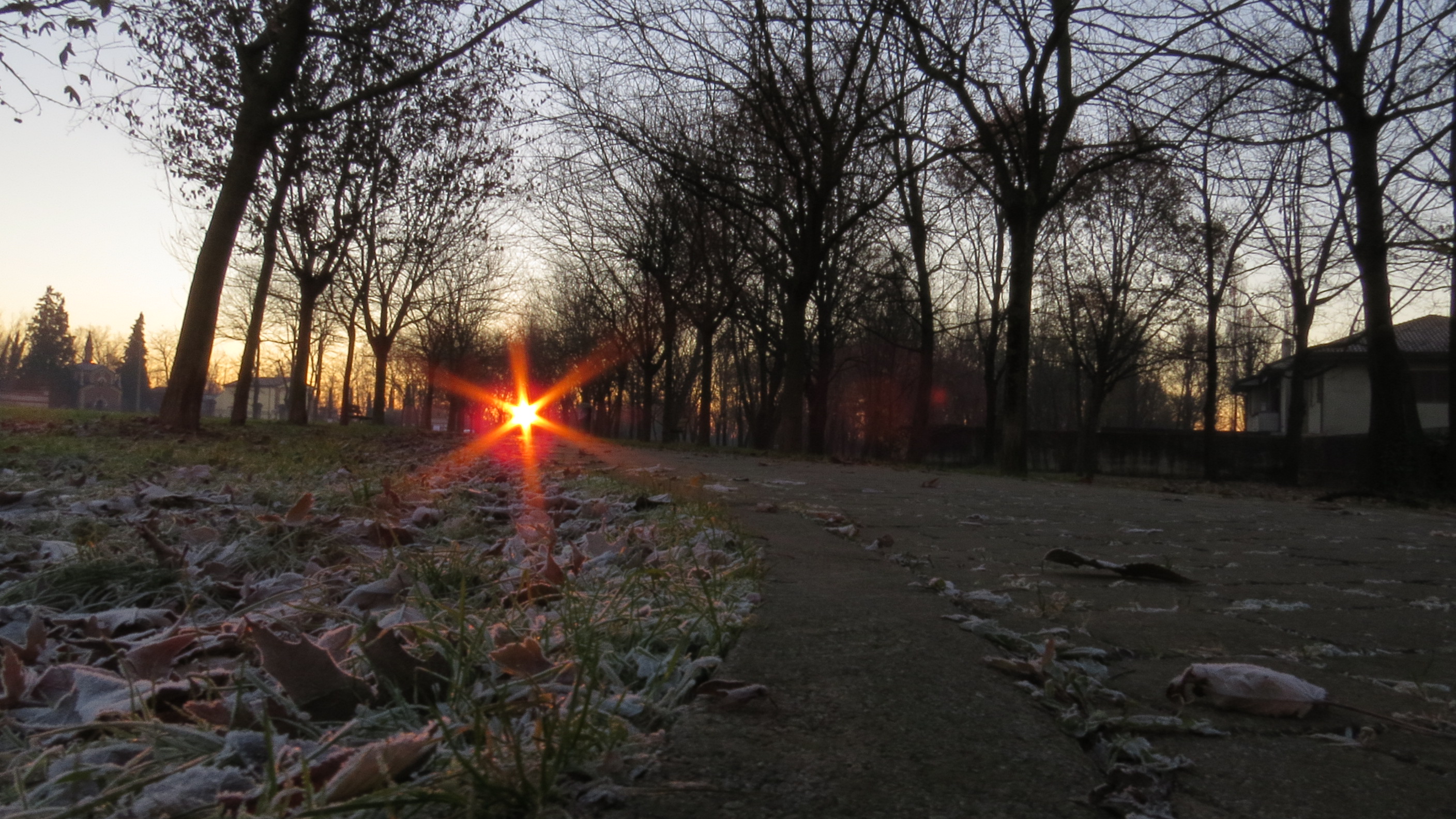 that avenue towards the light