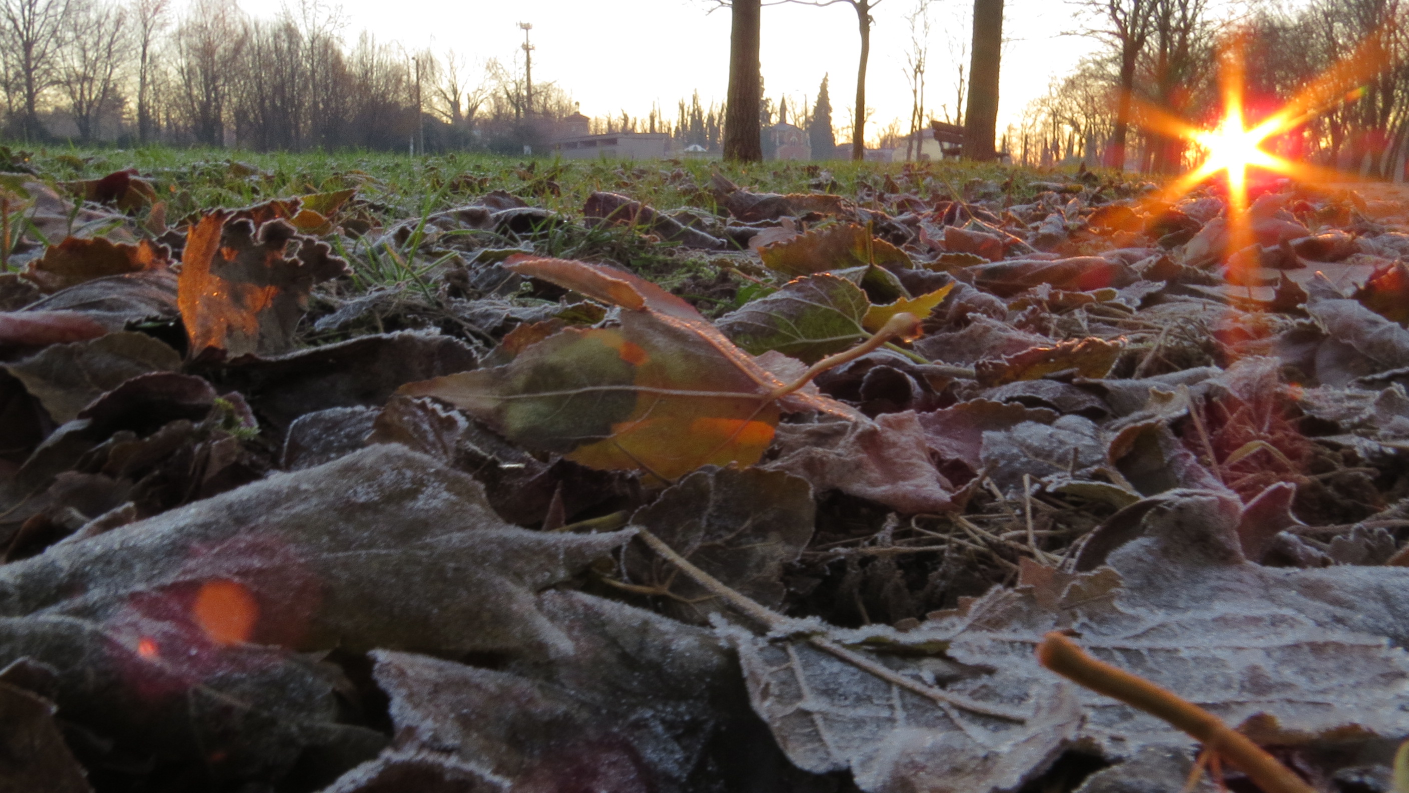 first rays of the sun that awaken a winter lawn