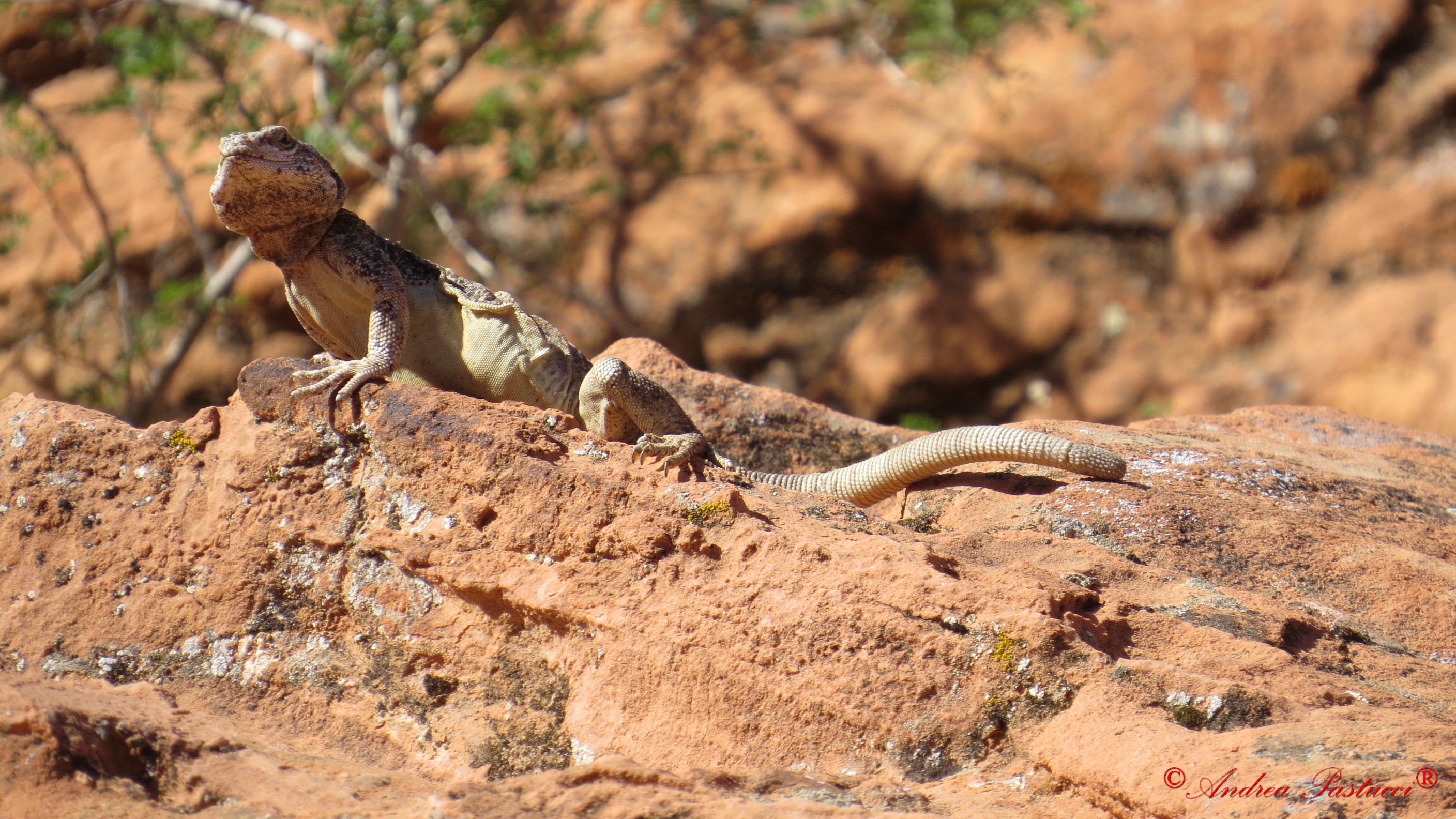 just outside of Las Vegas desert .. ..