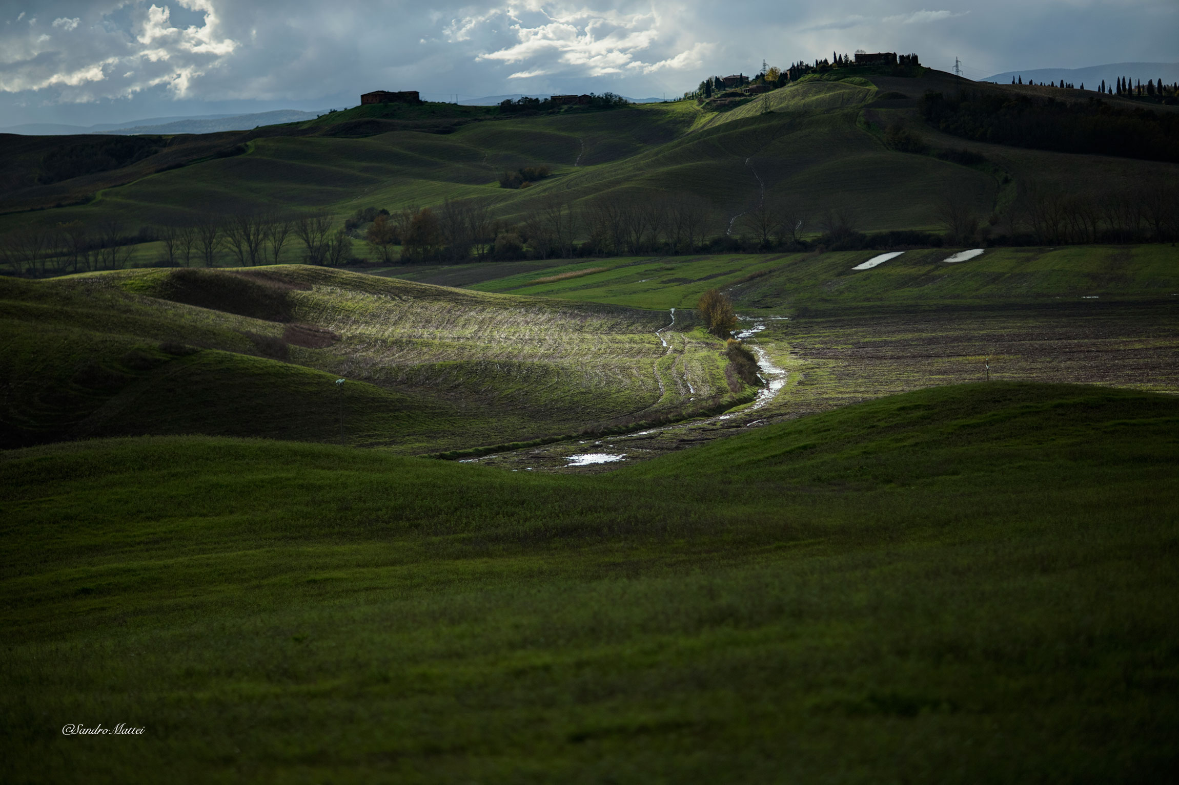 .... A ray of sunshine after the storm ......