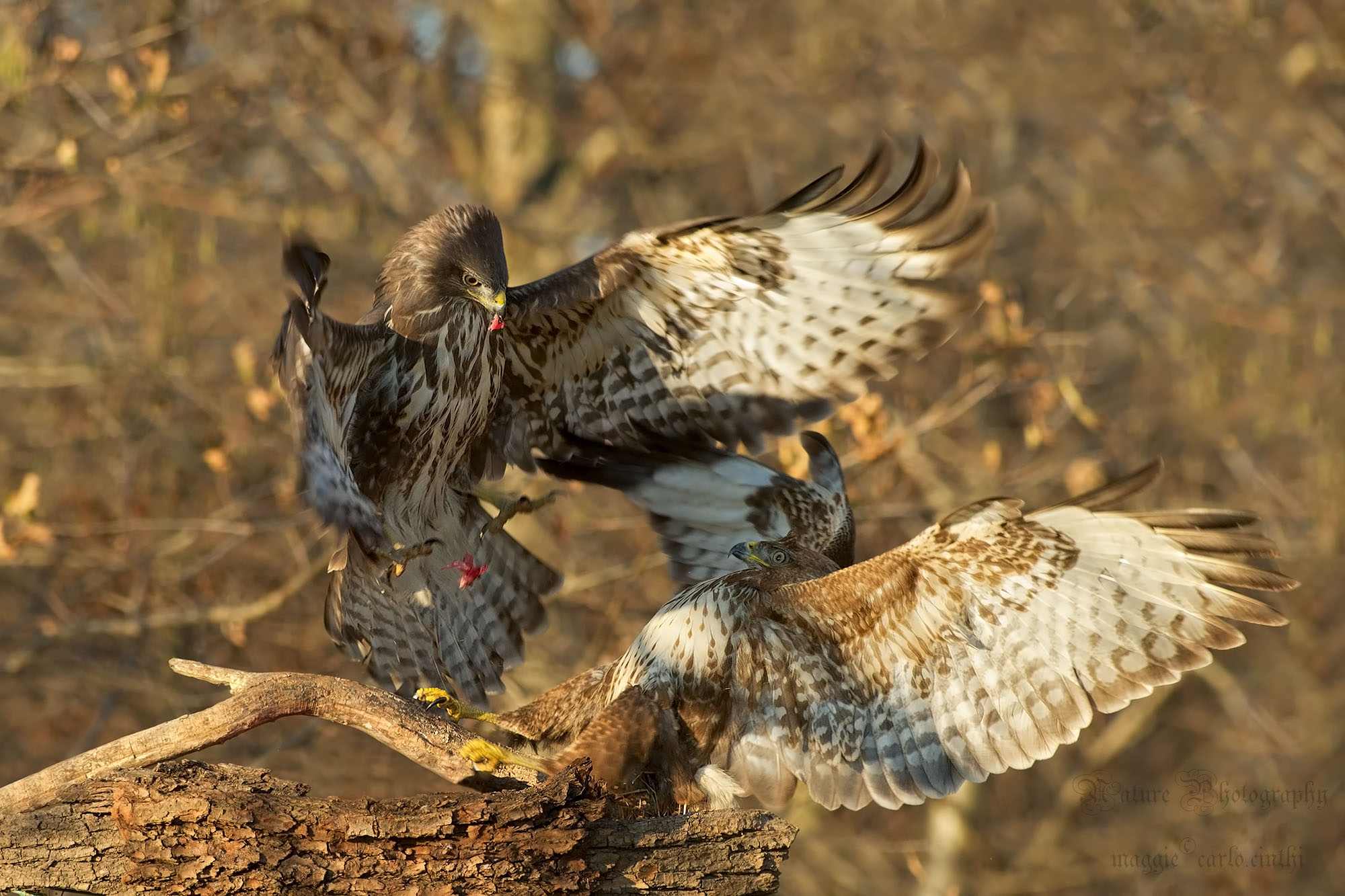 Assalto improvviso 3