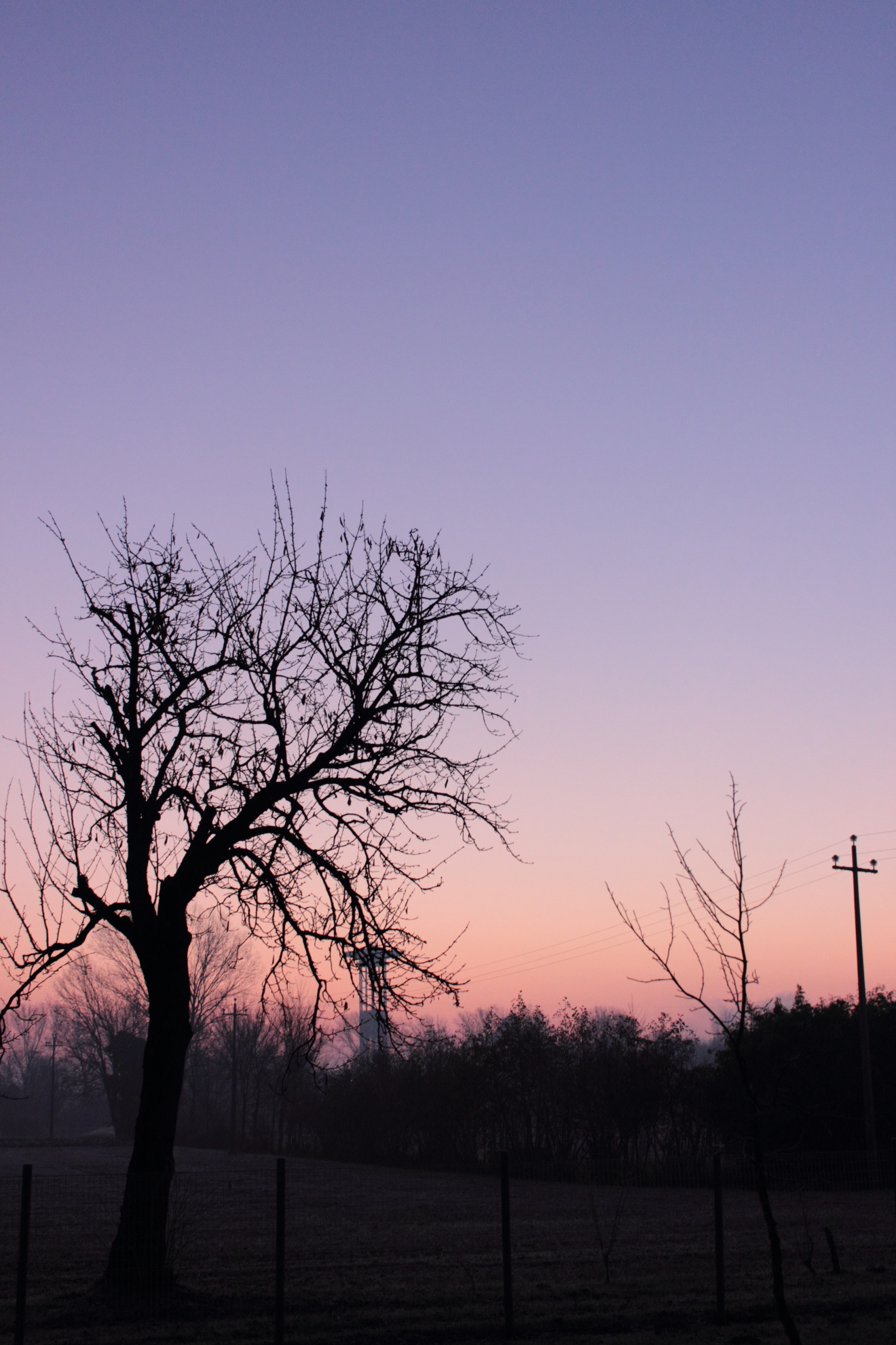 l'alba del giorno dopo.