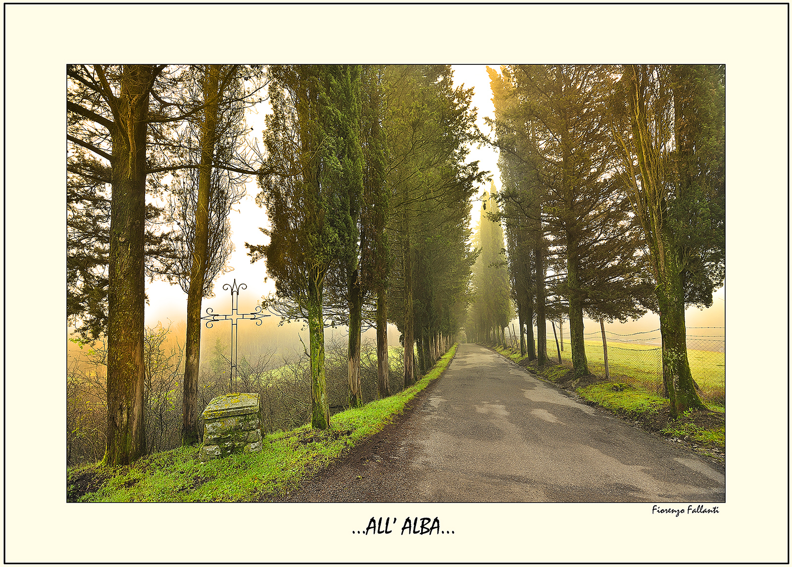 ...Il viale e la fede...