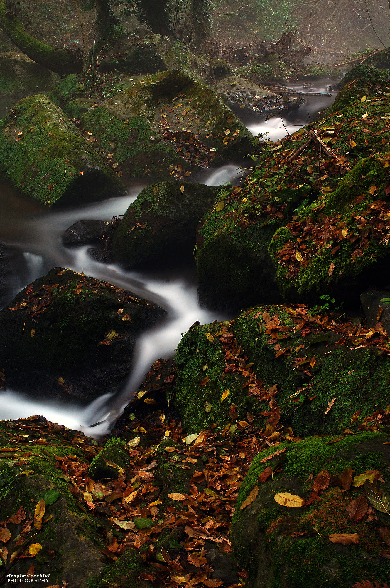 happens in the autumn