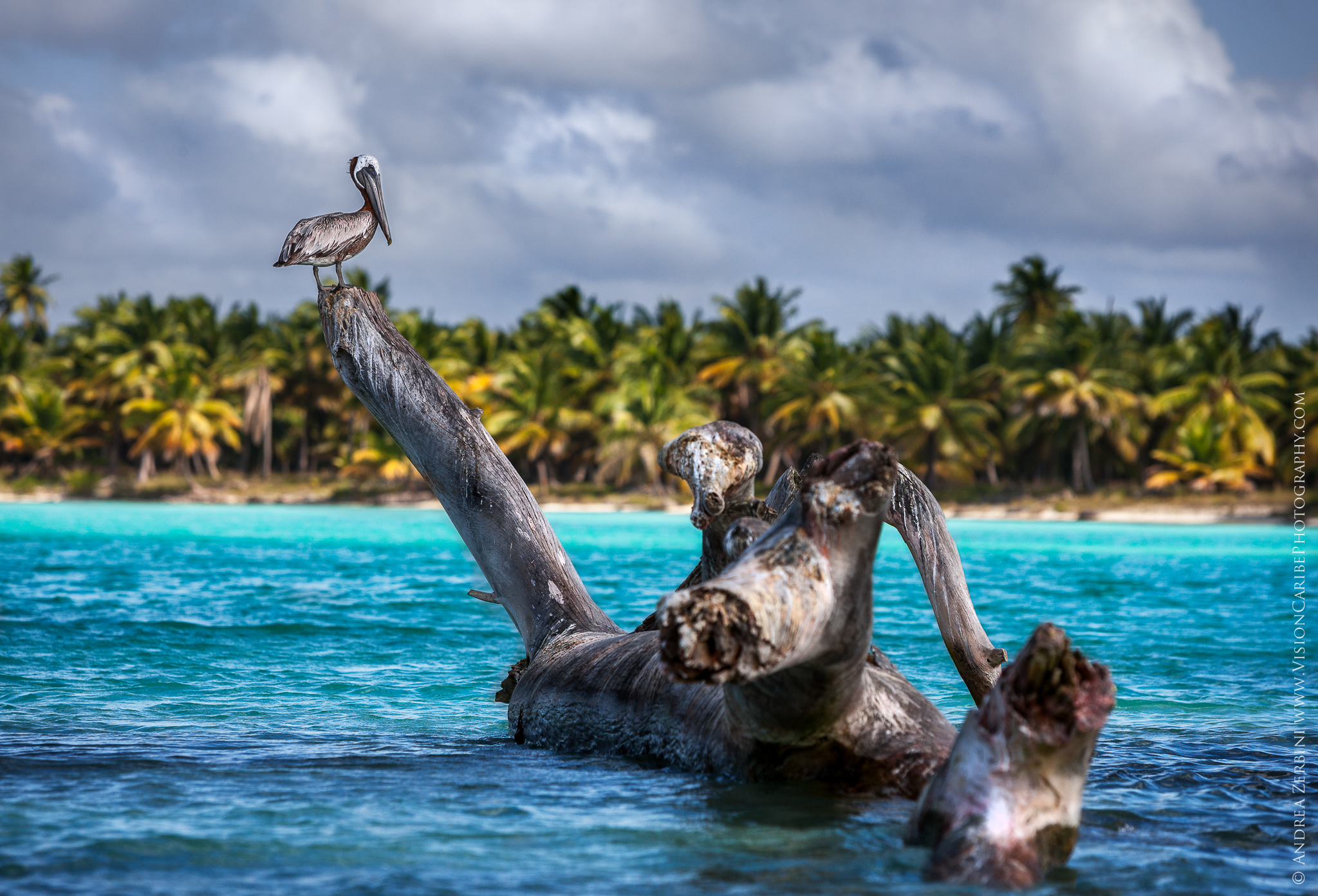 On the tail of the legendary Giant Dachshund water ...