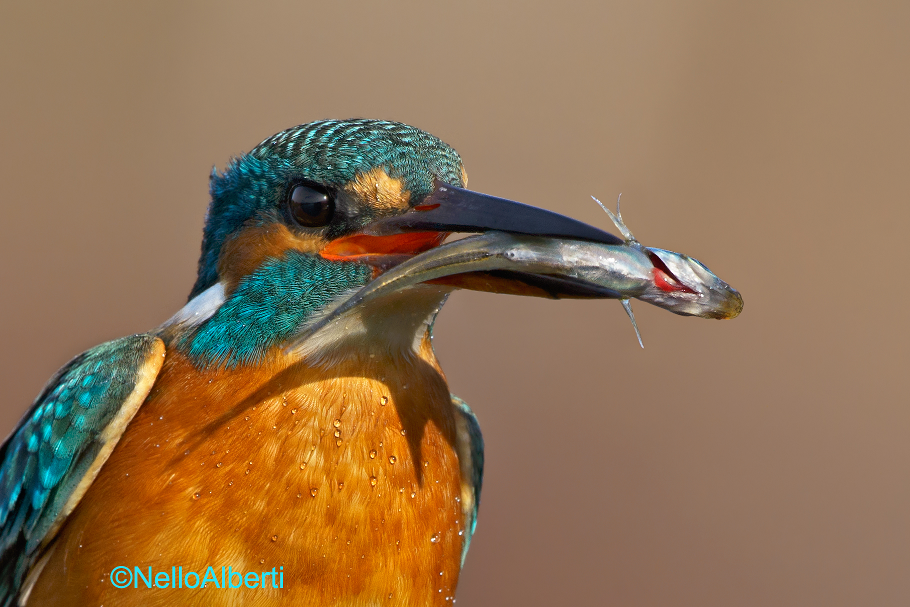non ci si stanca mai di fotografarlo !!