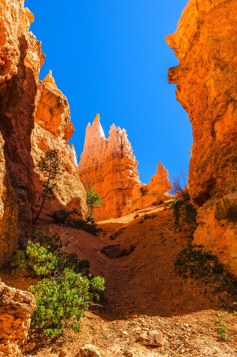 USA - Luminous Bryce Canyon