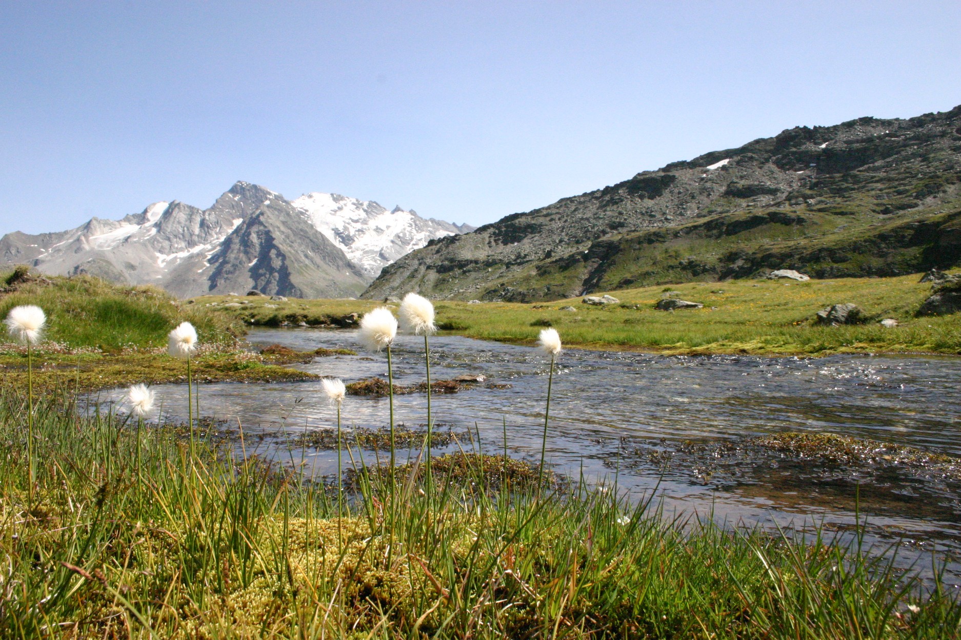 Going to the shelter Scavarda