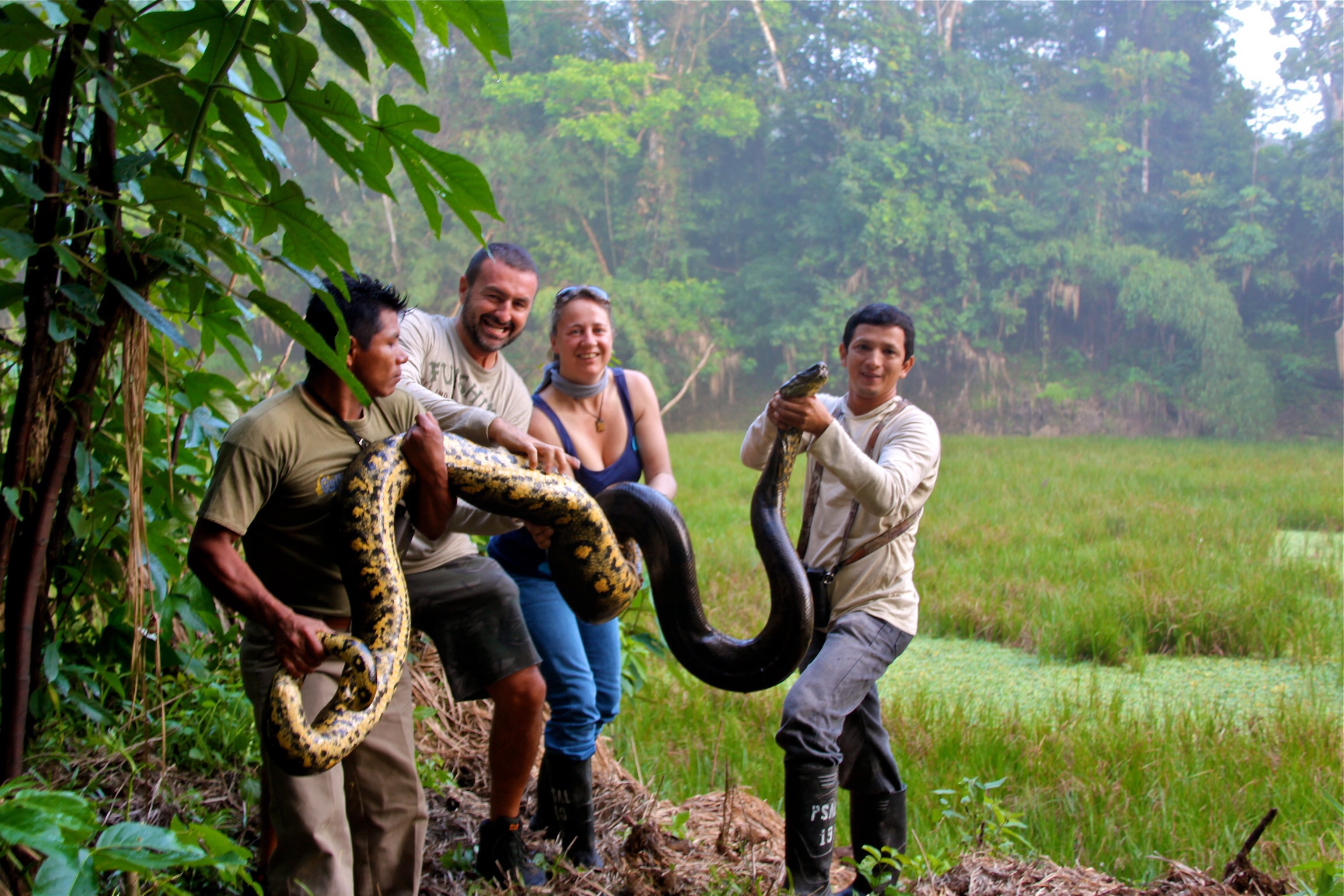 Anaconda, 6 mx 80 kg