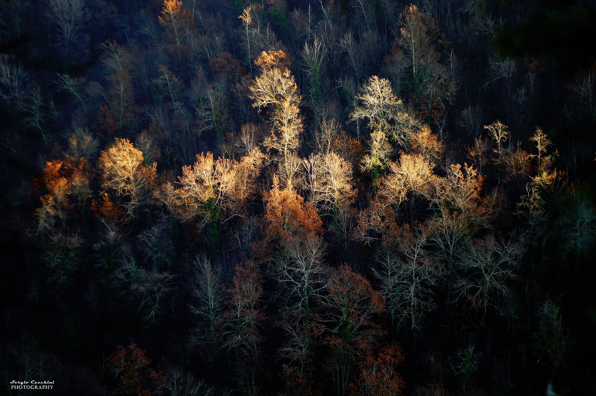 L'autunno e le sue magiche luci