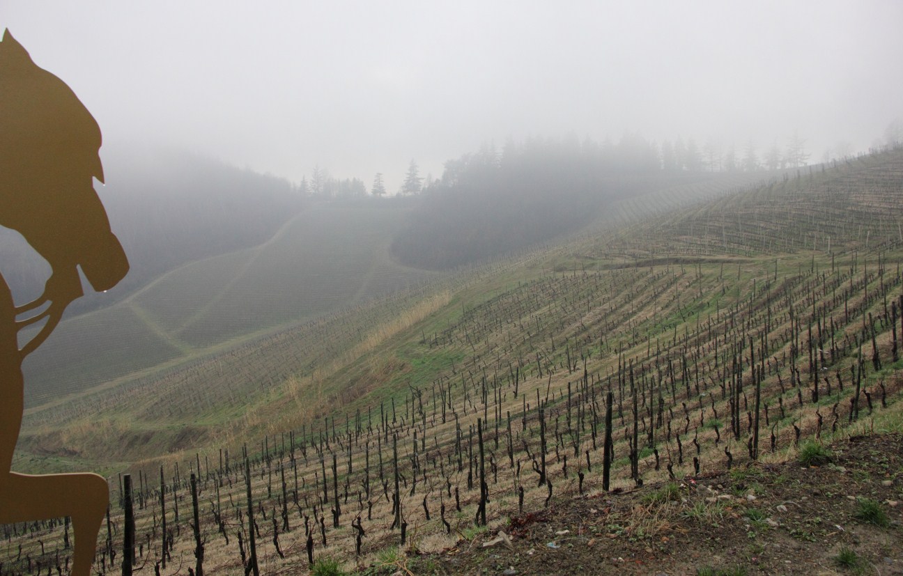 nebbie agli irti colli